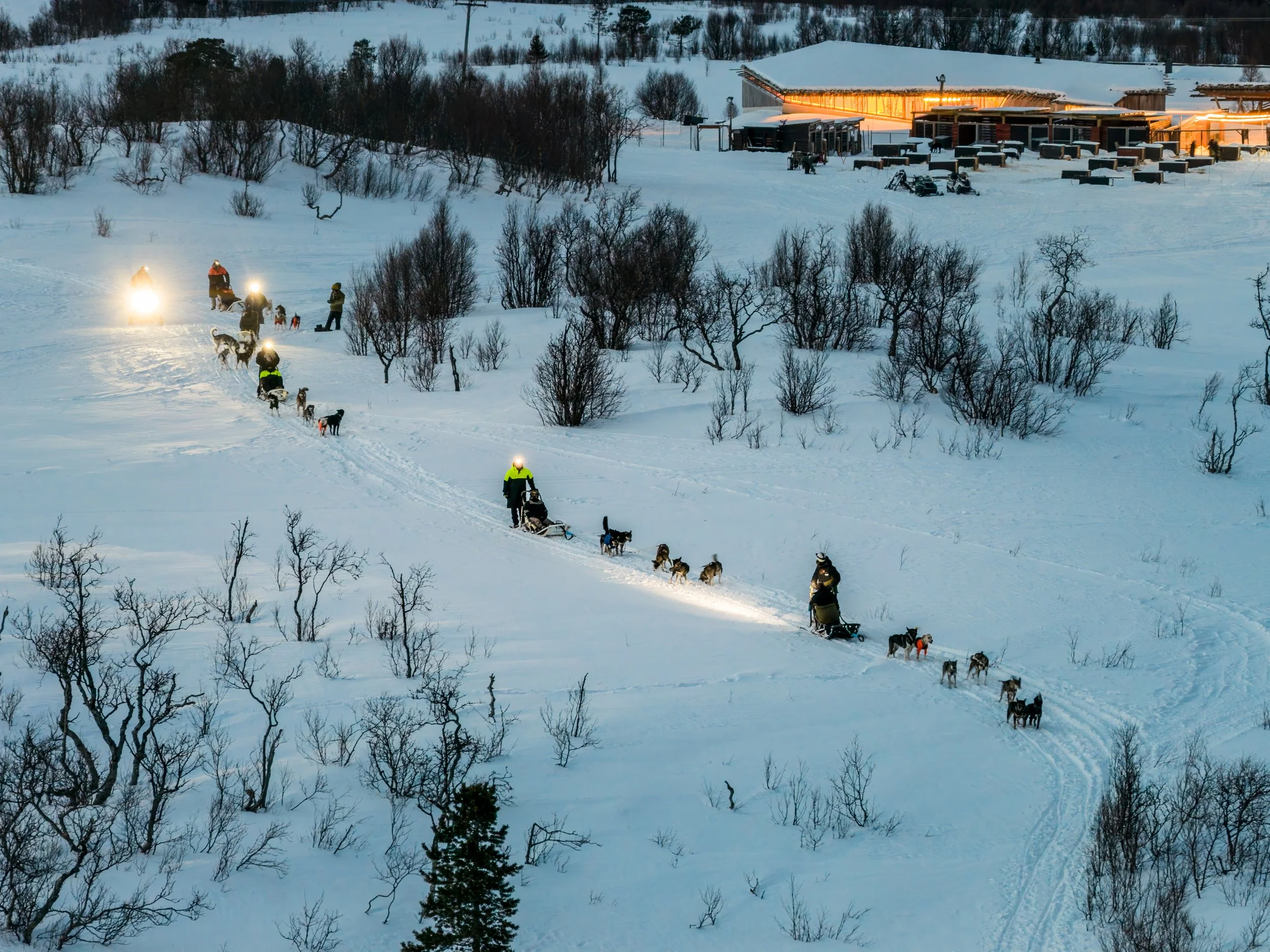 Dogsledding Tromsø