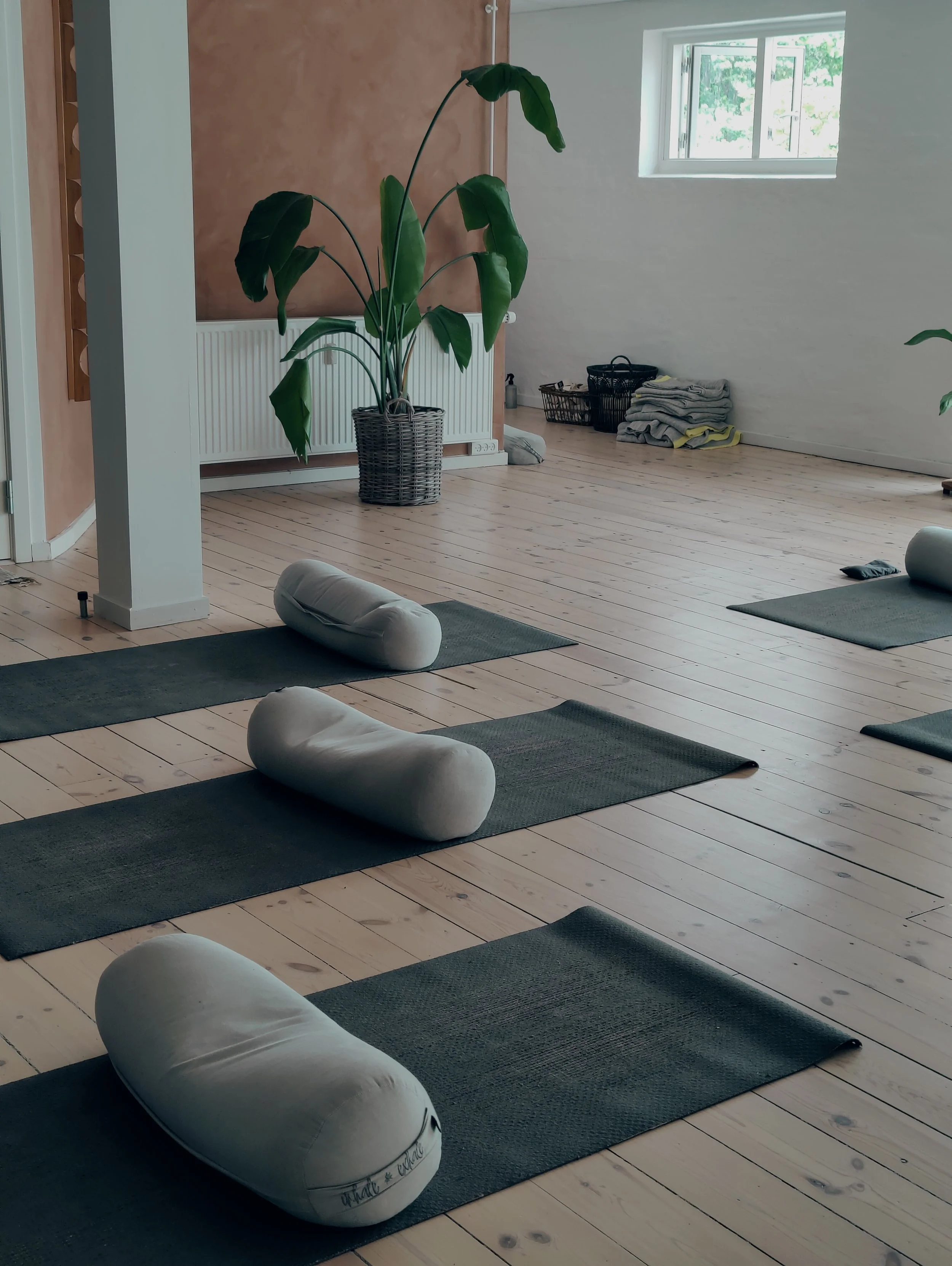 Indendørs yogasal med flere yogamåtter og puder på en trægulv, store planter og et lille vindue, der slår lys ind.