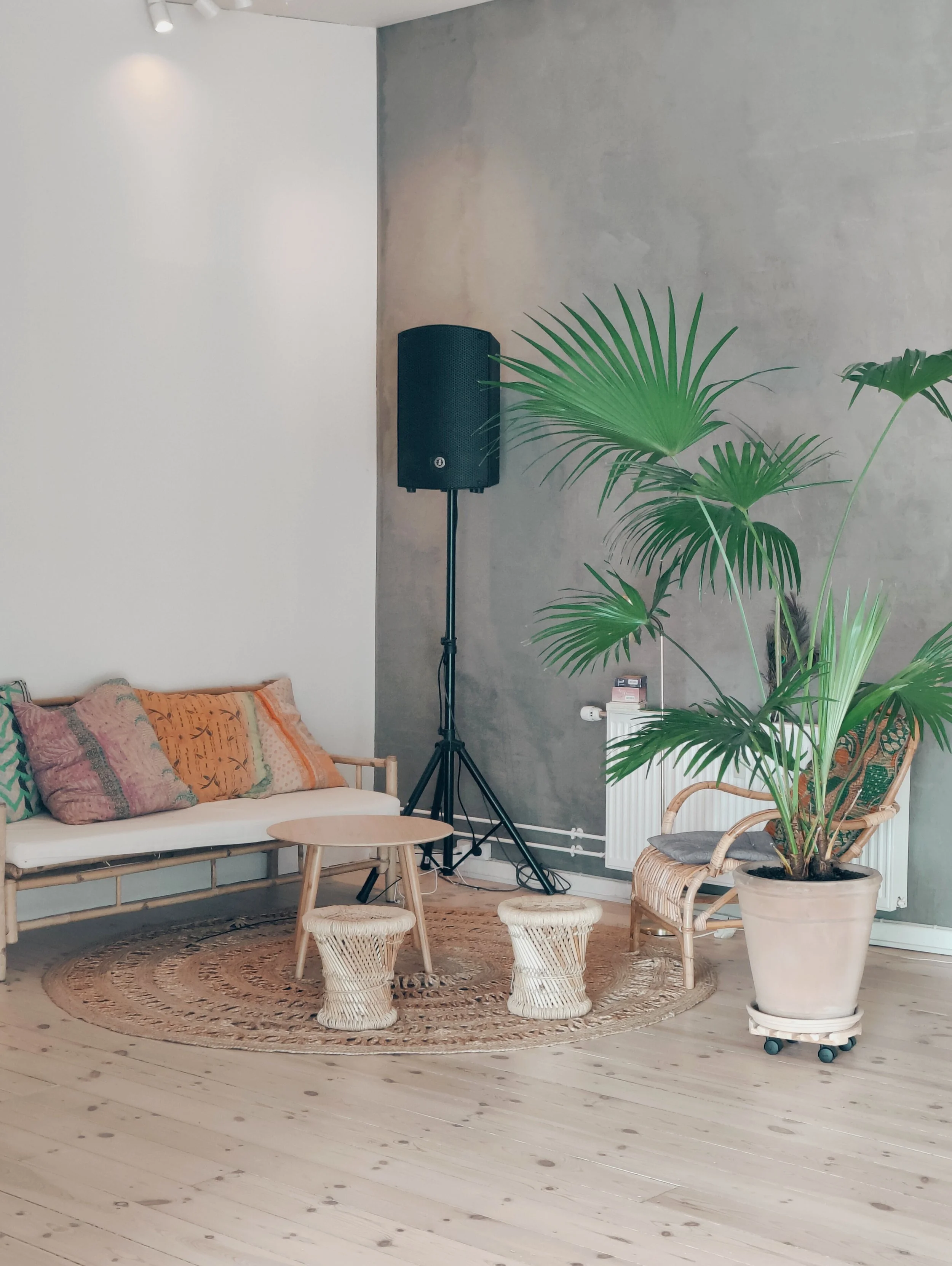 Indendørs rum med sofa med flere puder, lavt rundt bord, to små puffe, stor grøn plante i potte på træhjul, væg med grå betonfinish, højt højtaler på stativ, radiator og træparketgulv.