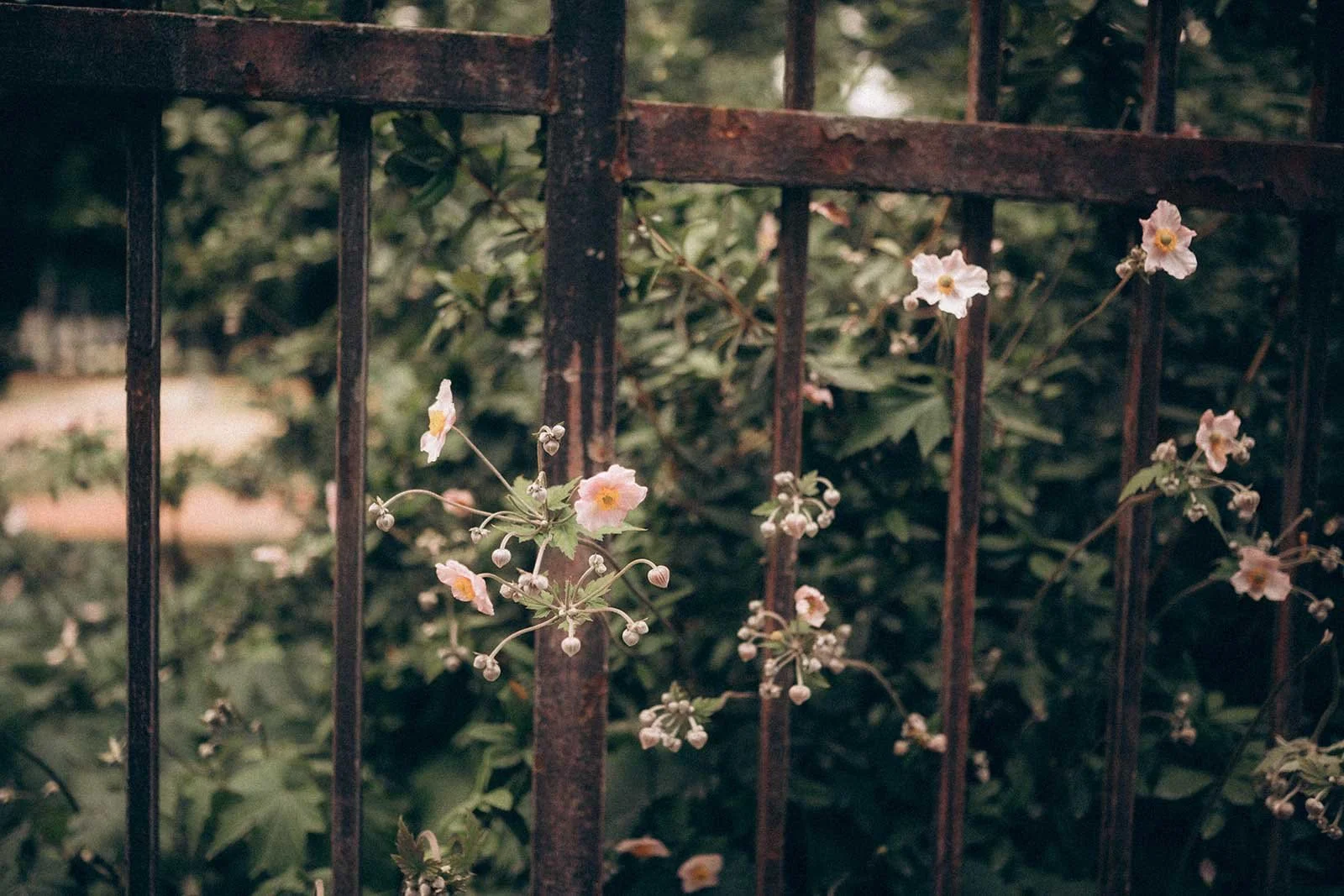 sb-459.jpg