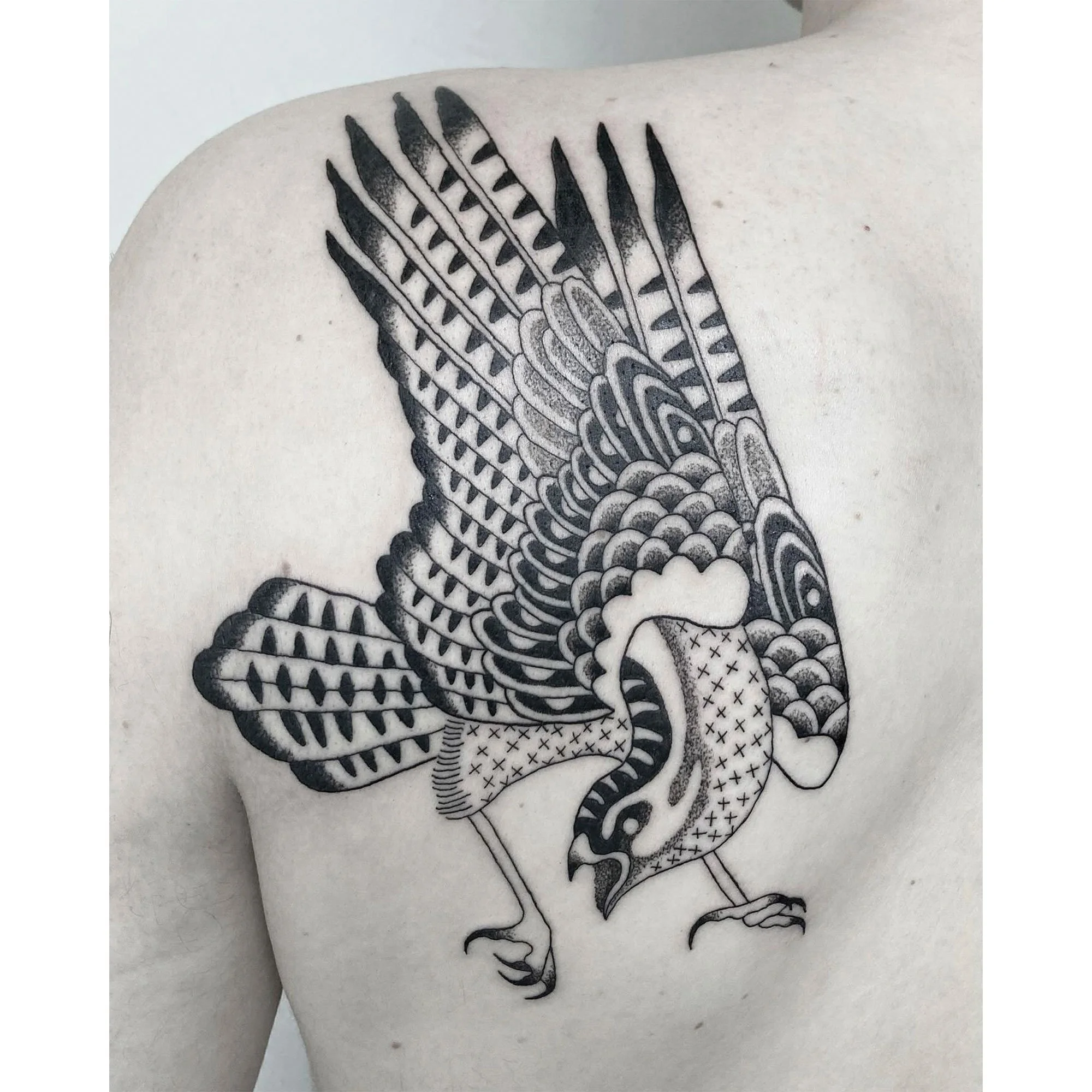 Black and gray tattoo of a bird with detailed, abstract feathers on a person's shoulder.