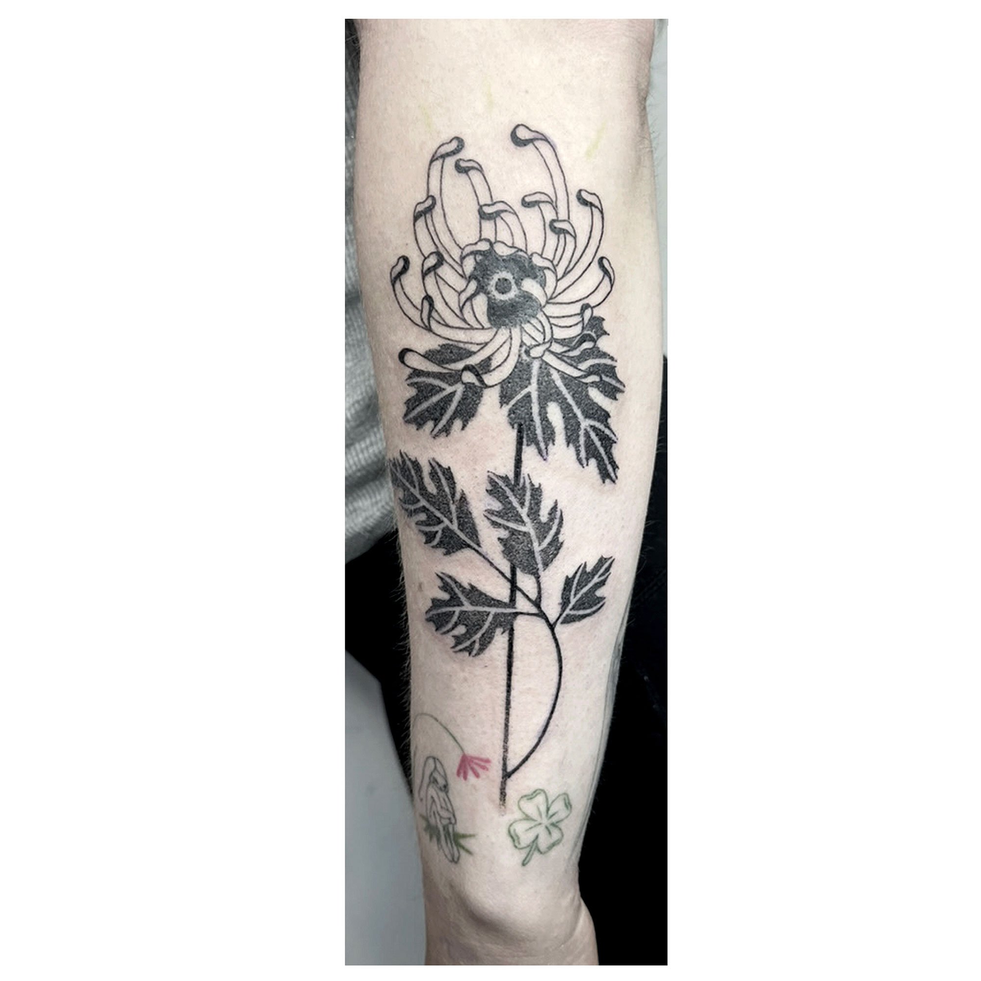 Tattoo of a chrysanthemum flower, with a spider-like creature at the top and leaves growing from the stem.