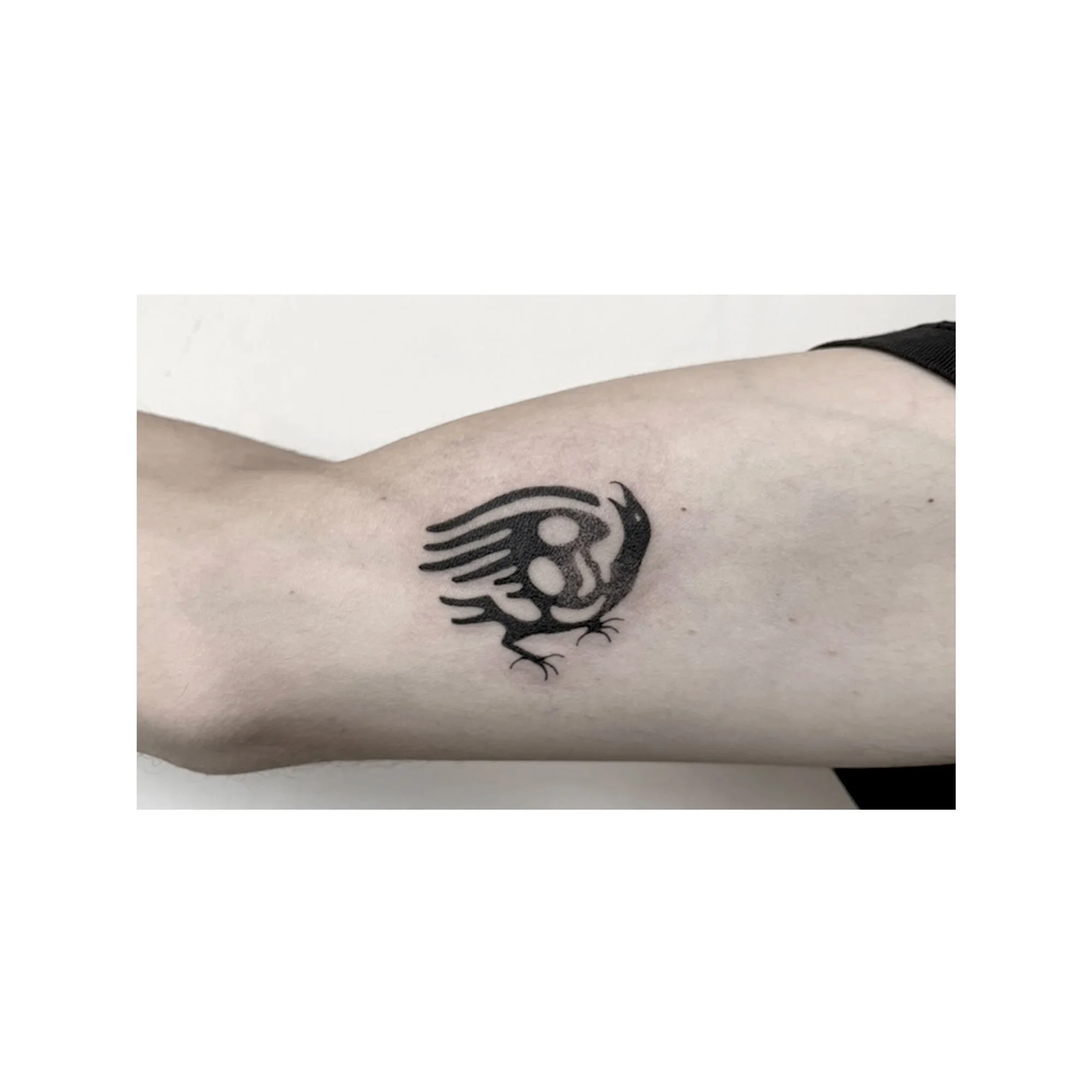 Tattoo of a stylized bird with a hidden demon face on person's upper arm.