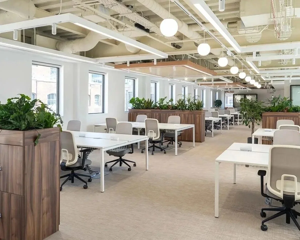 St Paul’s House London MODESCORE Gold Accreditation by Hollen Plus