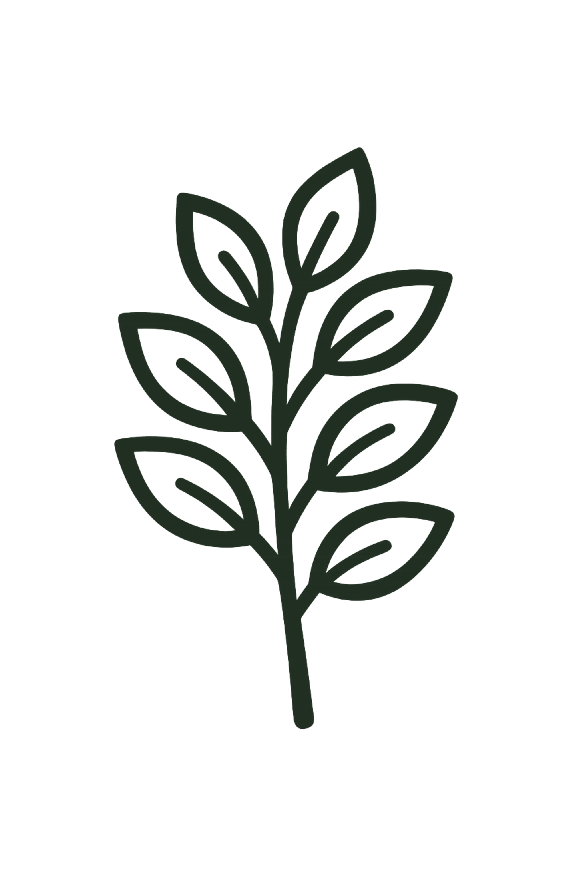 Private Hire Voucher