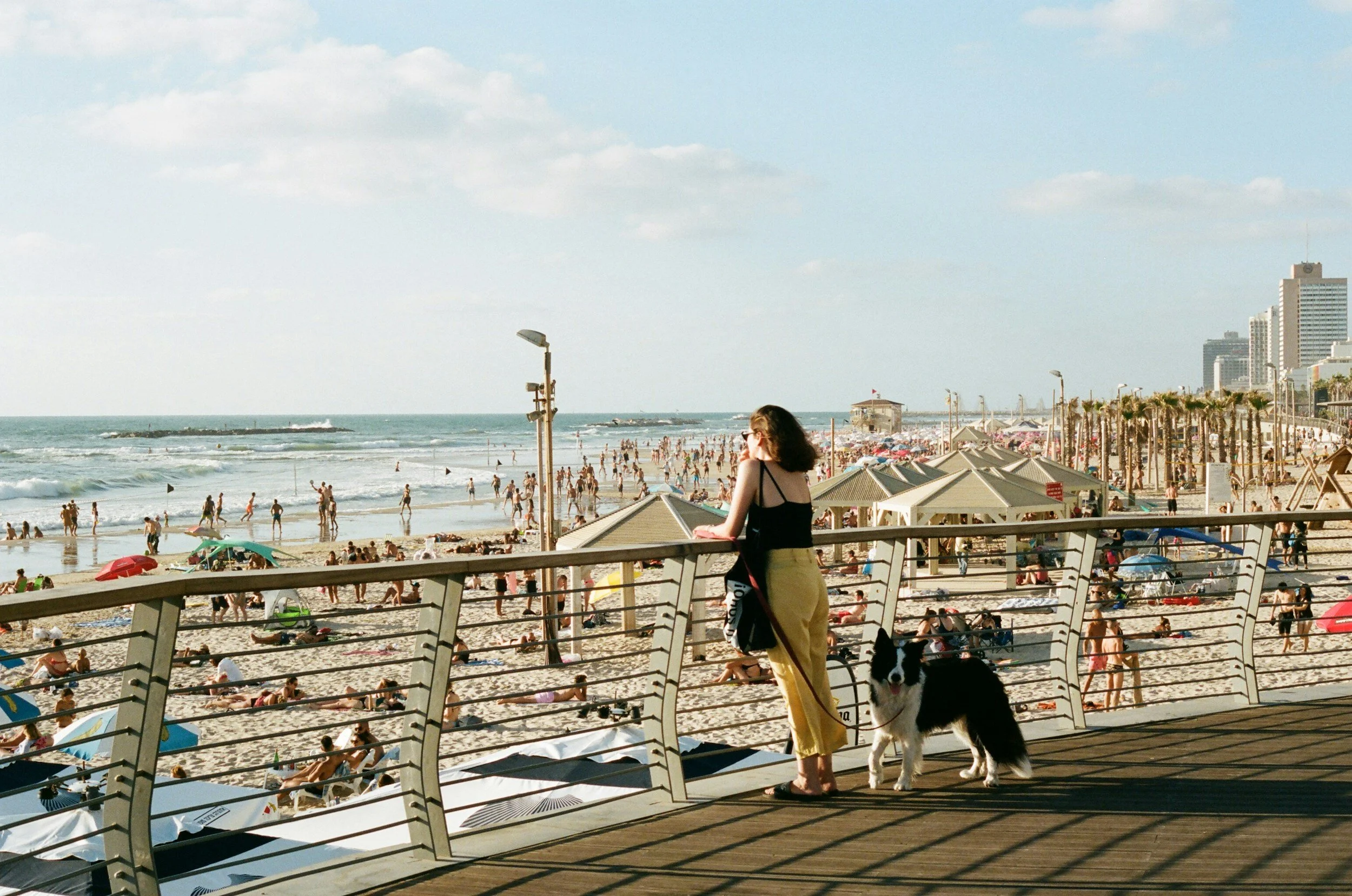 A woman with a dog overlooking a crowded beach with umbrellas, cabanas, and people enjoying the water and sand