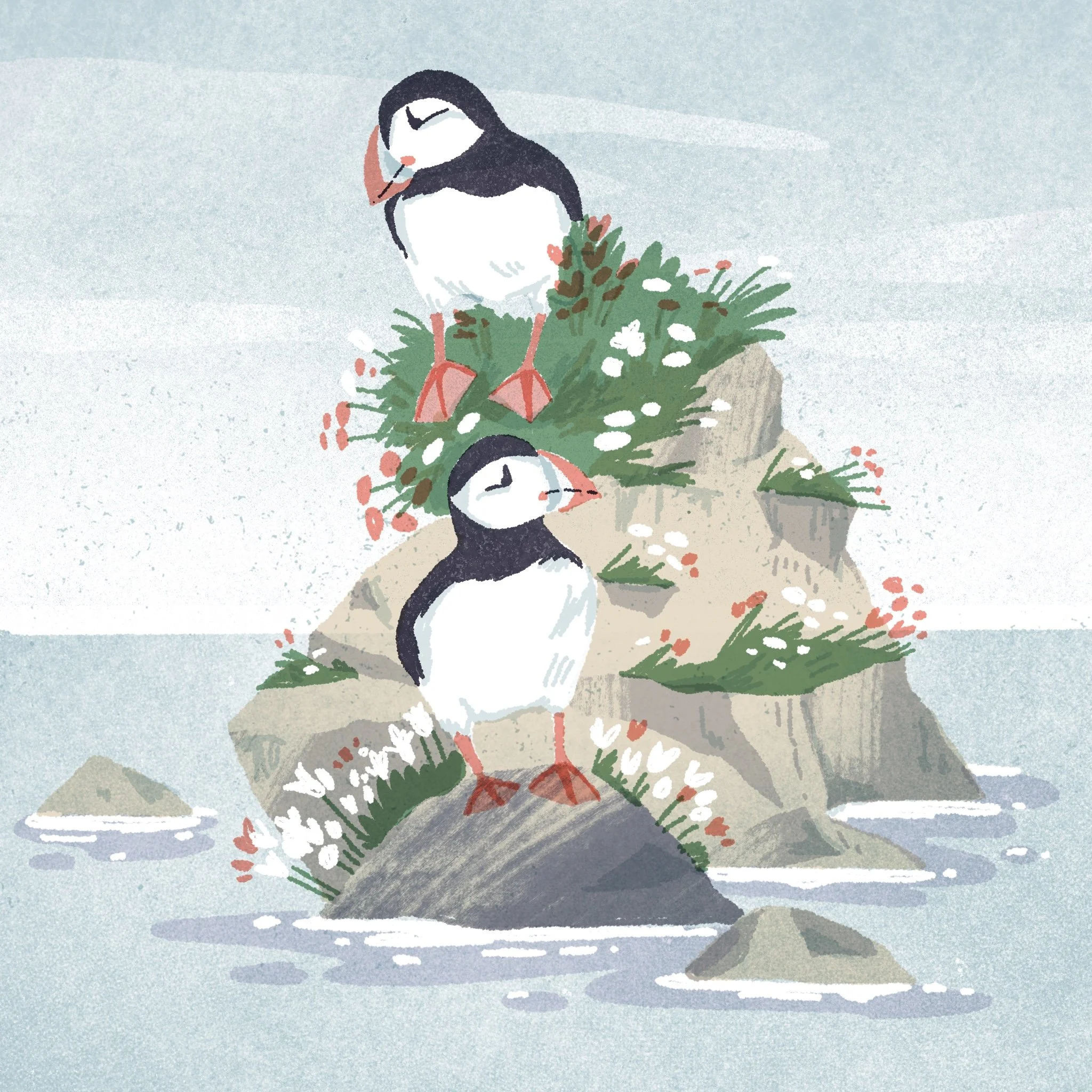 puffins.jpg