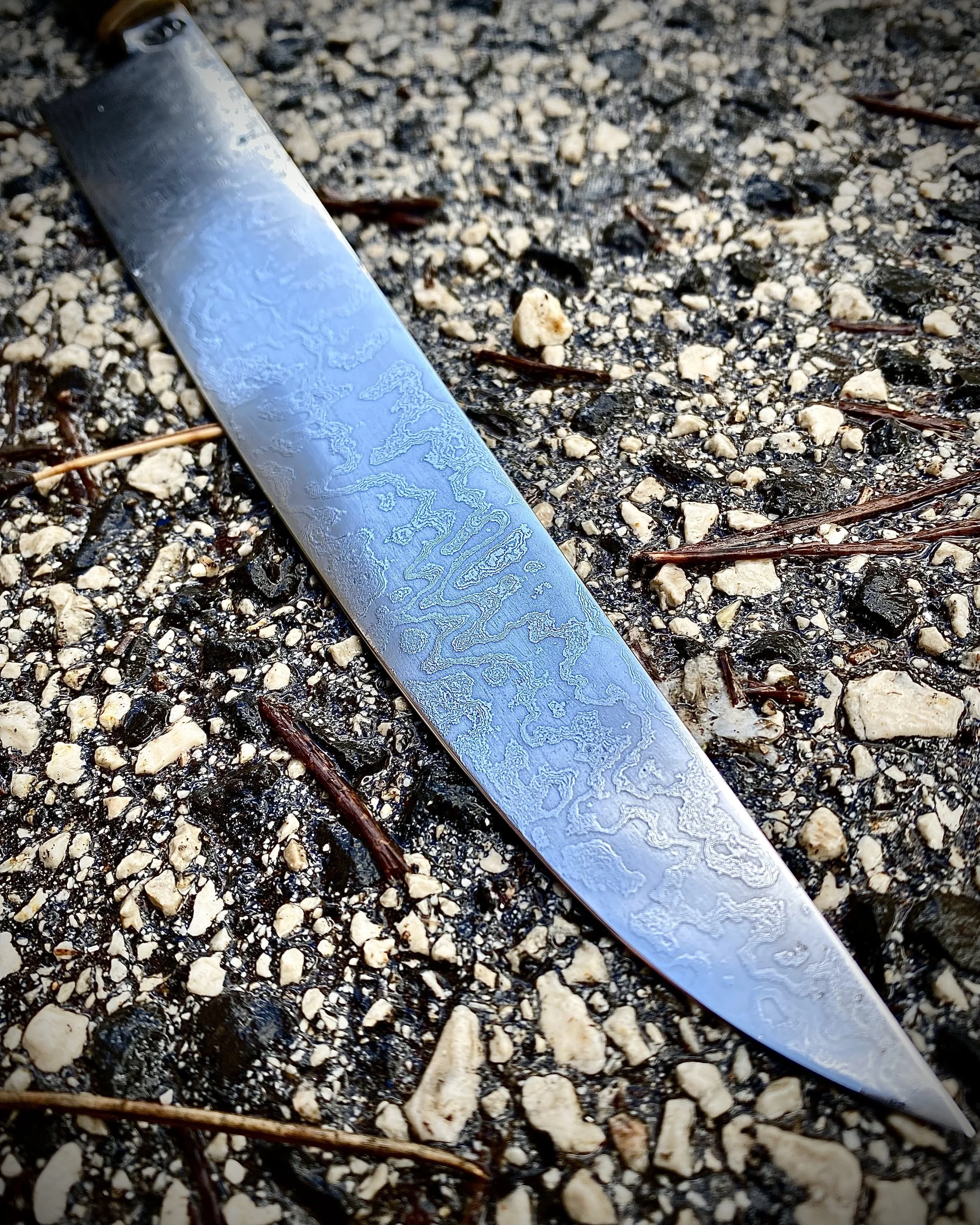 IMG_9529 copia 2.jpg