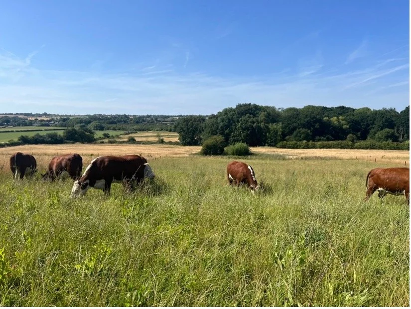 Building connections