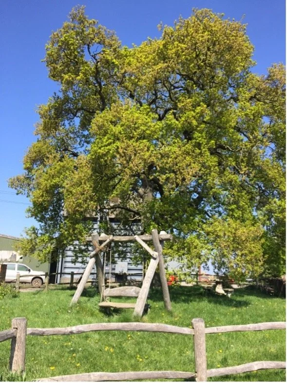 Doing research in the fields: reflections on the meaning of inclusive fieldwork in uncertain times