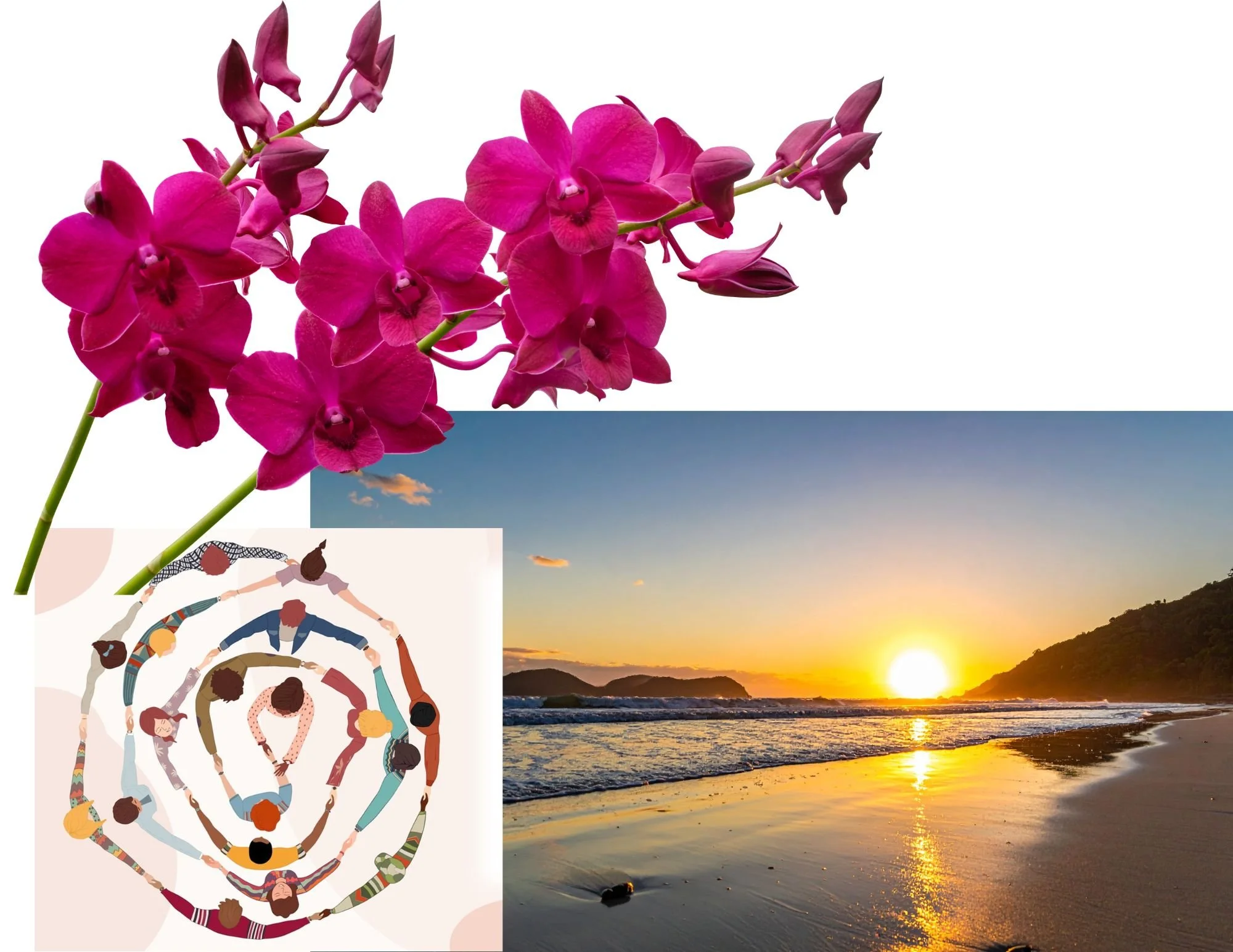 Spring Equinox Wisdom Circle