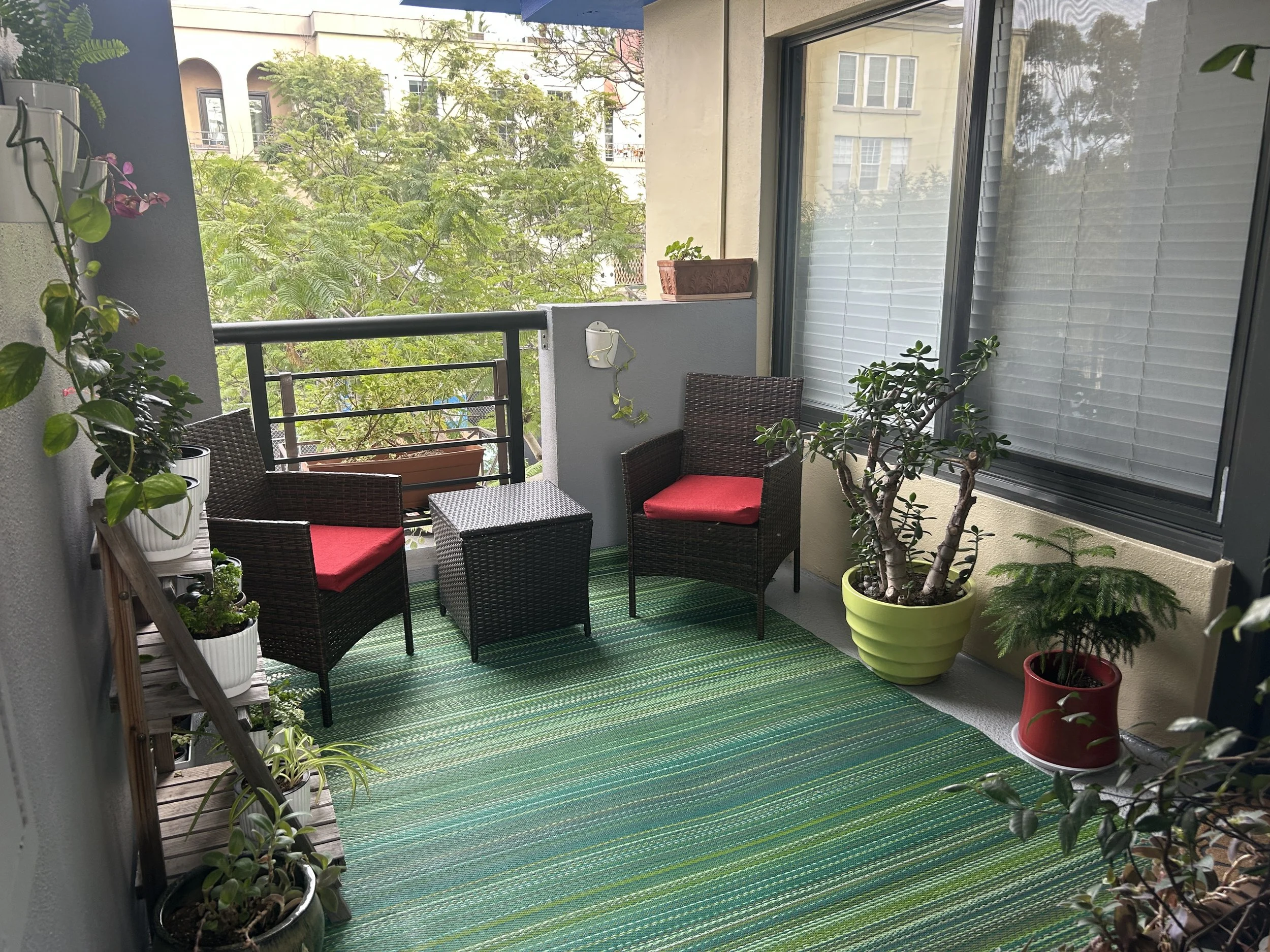 Small balcony with green striped outdoor rug, wicker chairs with red cushions, potted plants including a jade plant and fern, and a small wicker table. The balcony has a view of trees and nearby buildings.