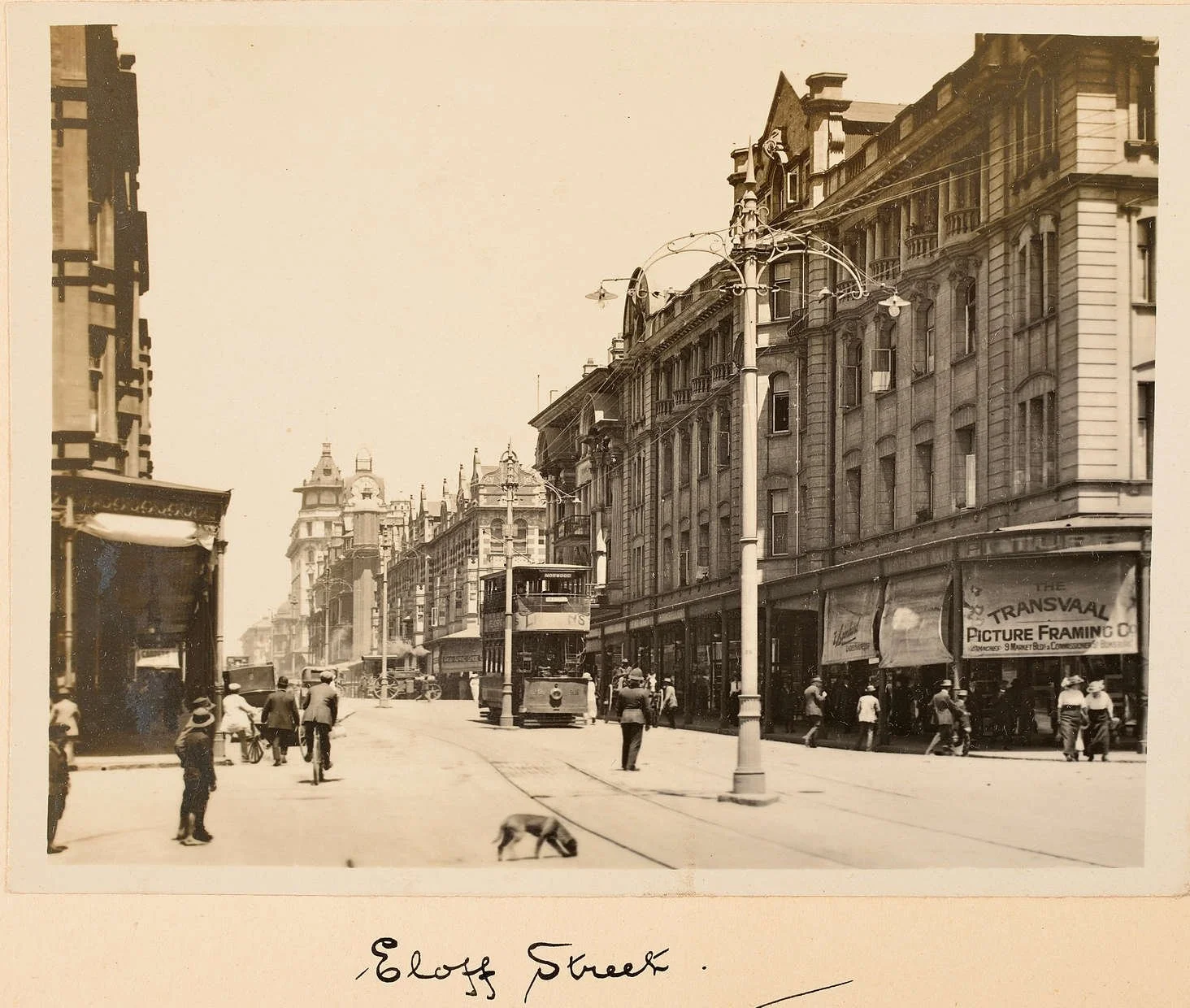 Copyright: The Collection of the Parliament of South Africa. Used with permission. Ref nos: 19532 (17): 24690 (91): 30816 (44): 36921 (55 & 106). 