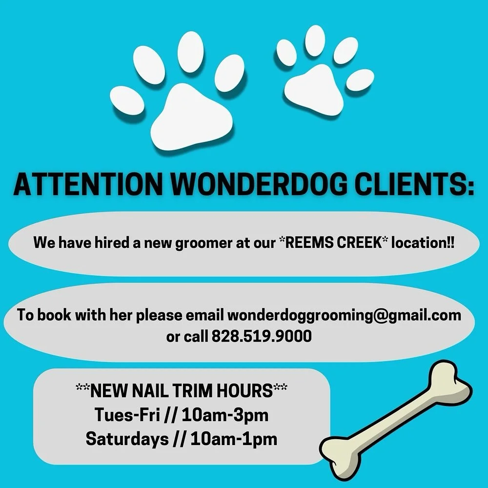 #doggrooming