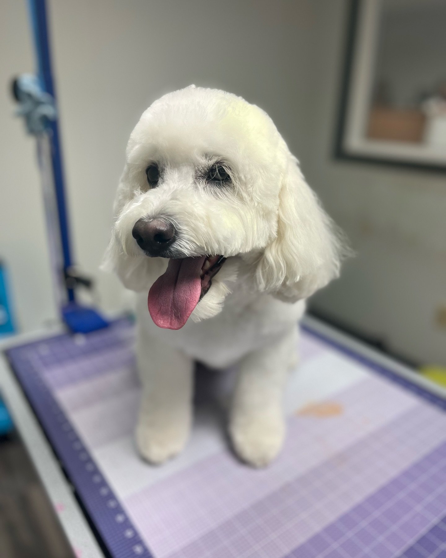 All these beautiful faces! 💙