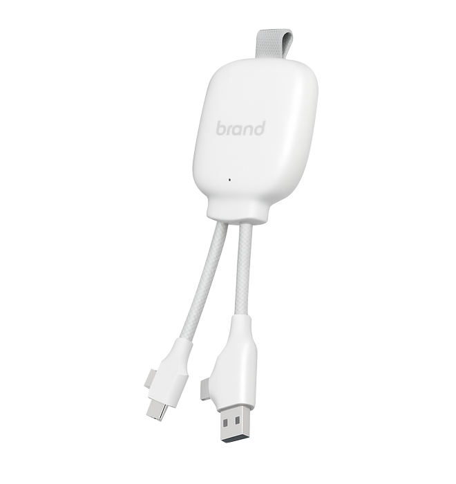 A white electronic device with a plug and a USB port, connected by a braided cable, against a plain background.