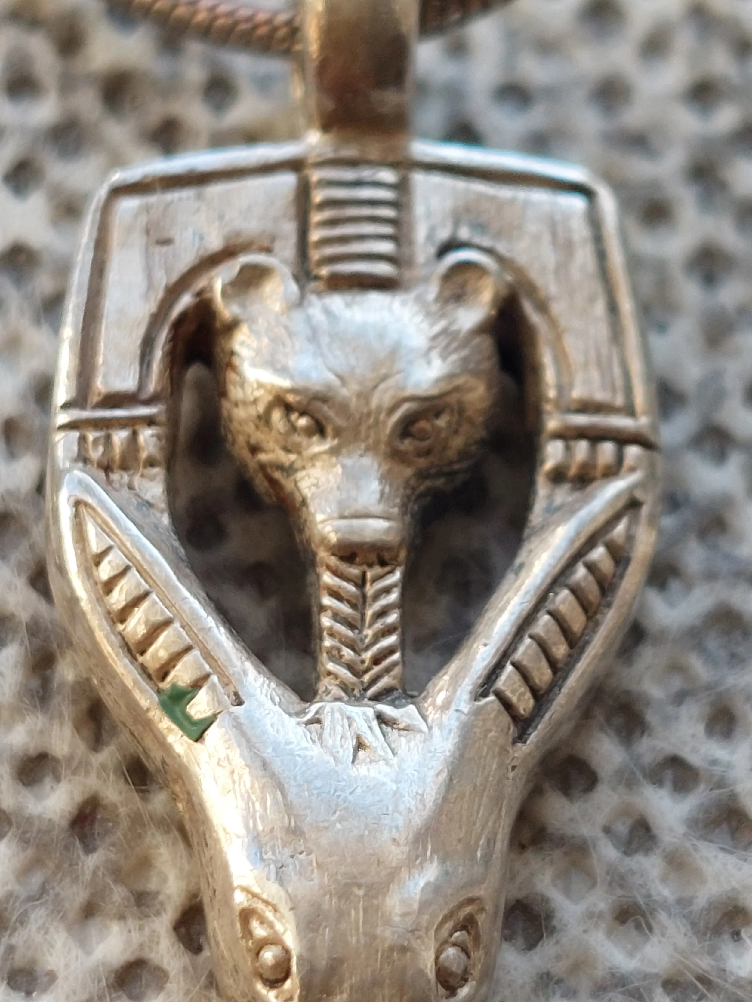 20250908_175001.jpg