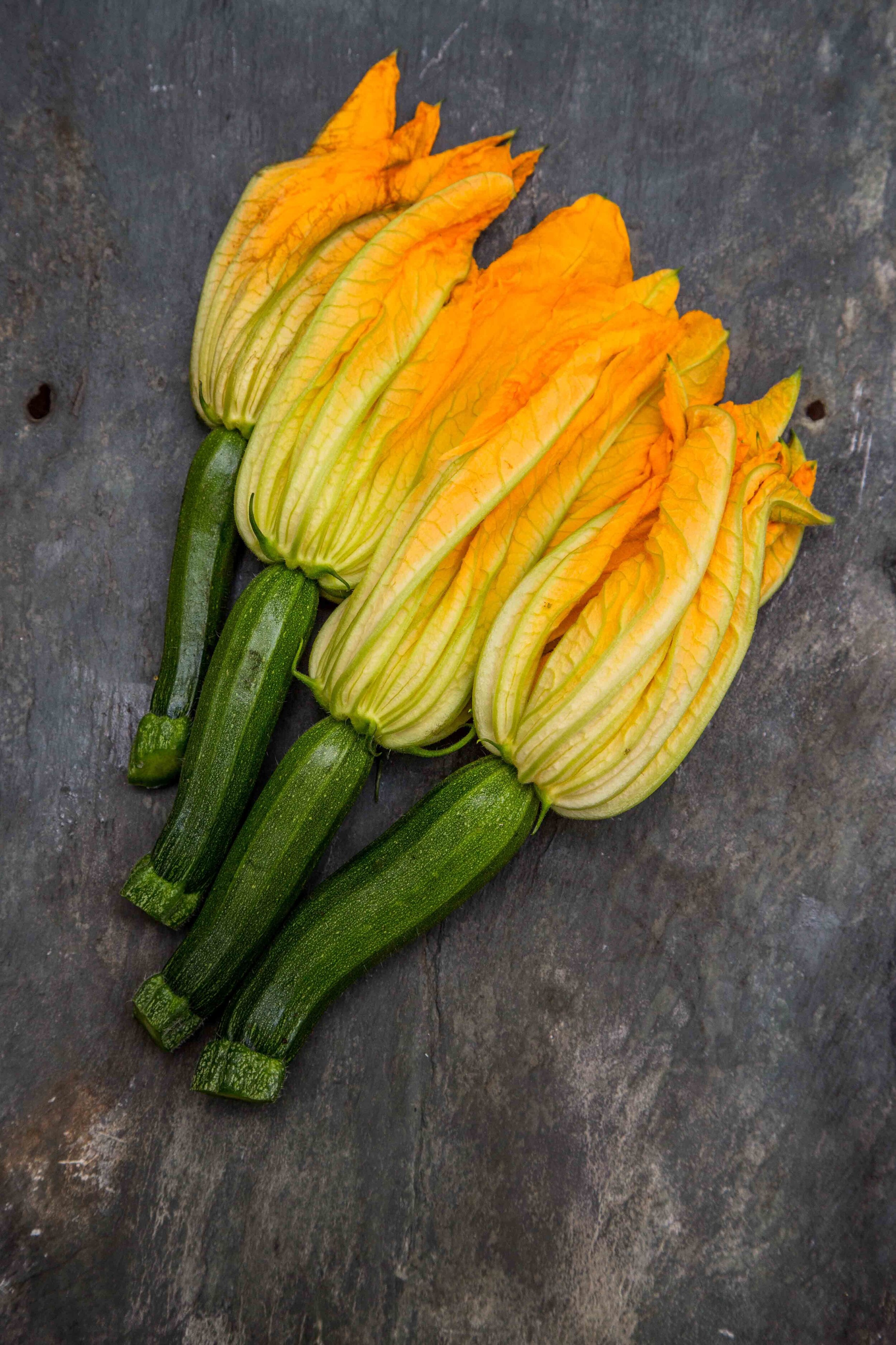 courgette.jpeg