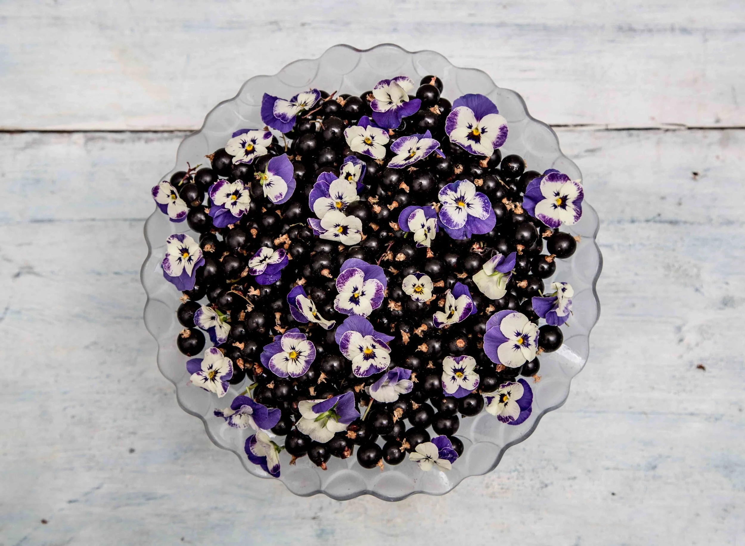 blueberries.jpeg