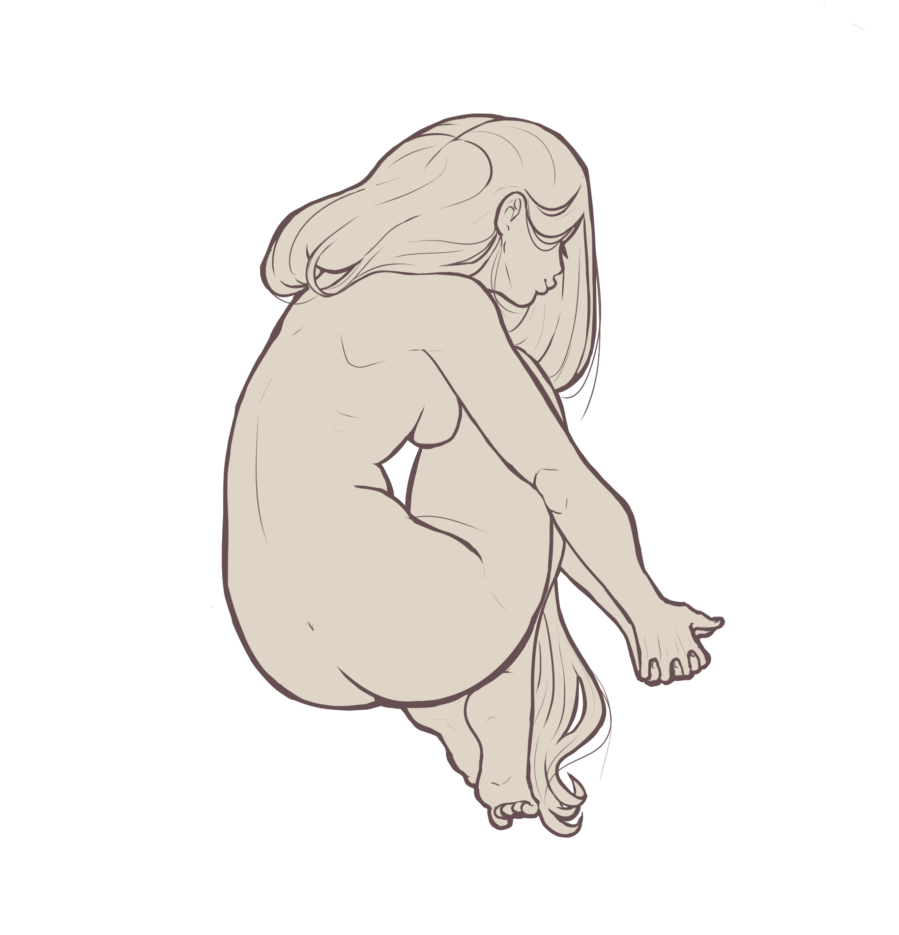 anatomy study