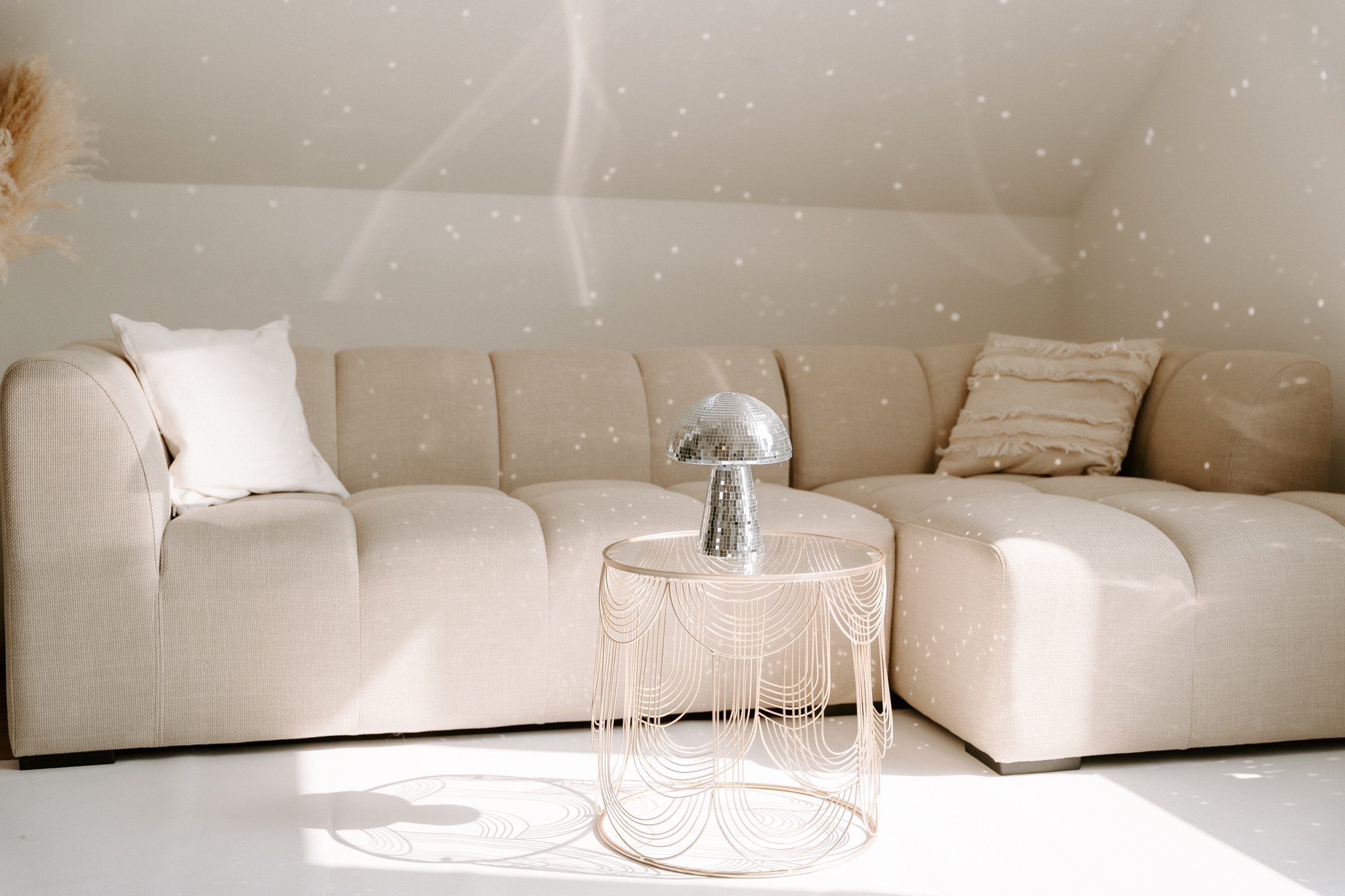 Props Tageslichtstudio Bergisch Gladbach