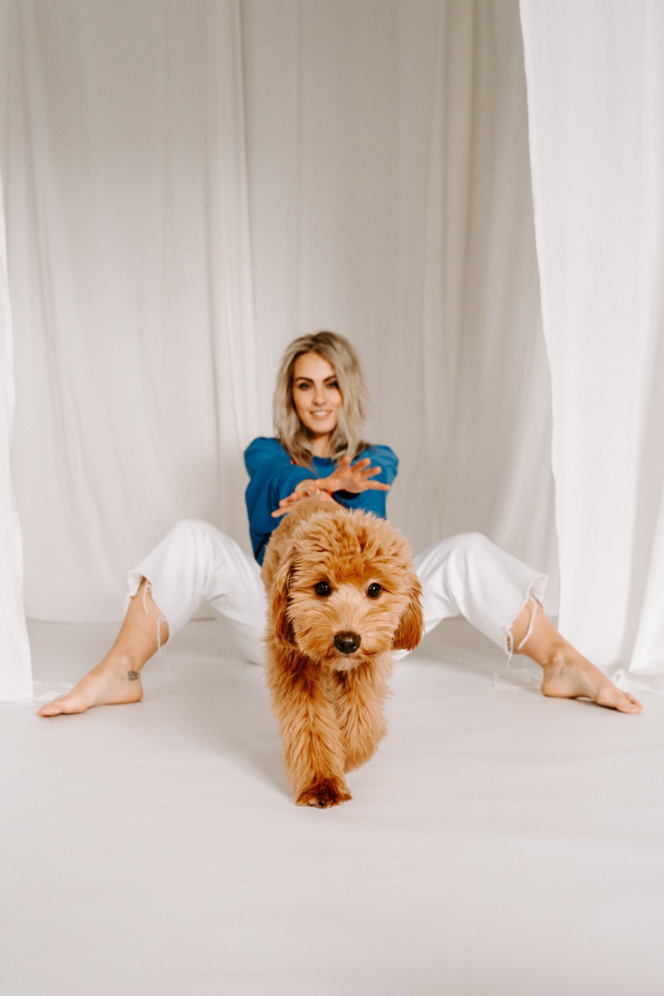 Hundeshooting im Tageslichtstudio Bergisch Gladbach