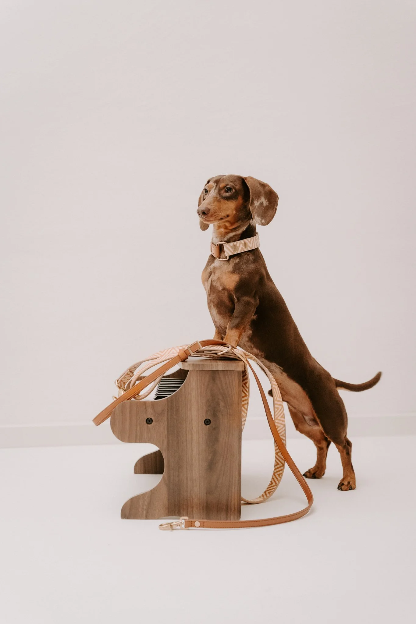 Businessshooting Köln (1 von 1)-4.jpg