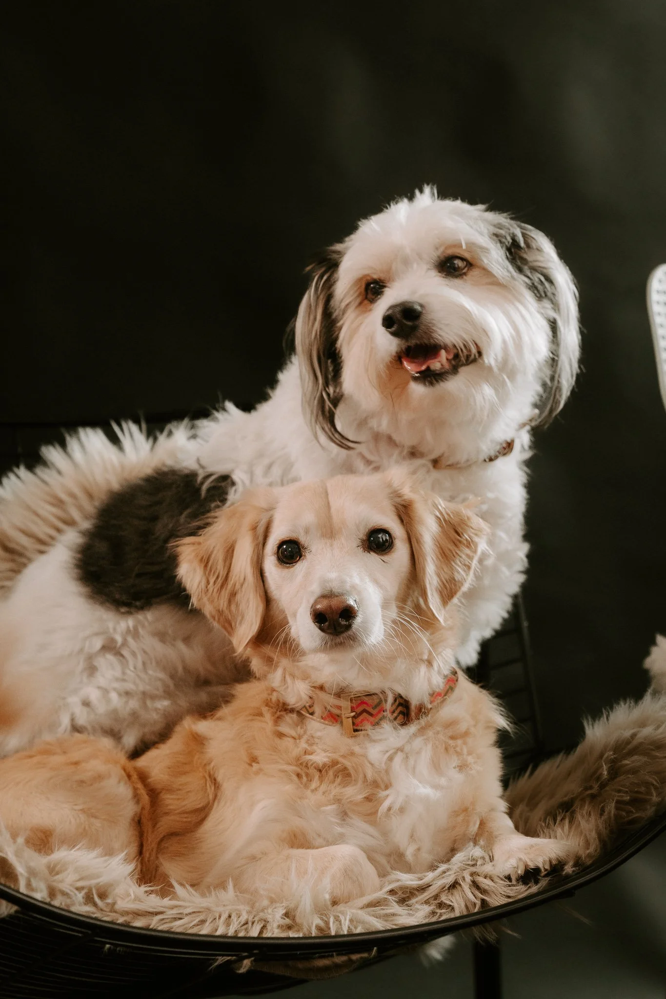 Businessshooting Köln (1 von 1)-12.jpg