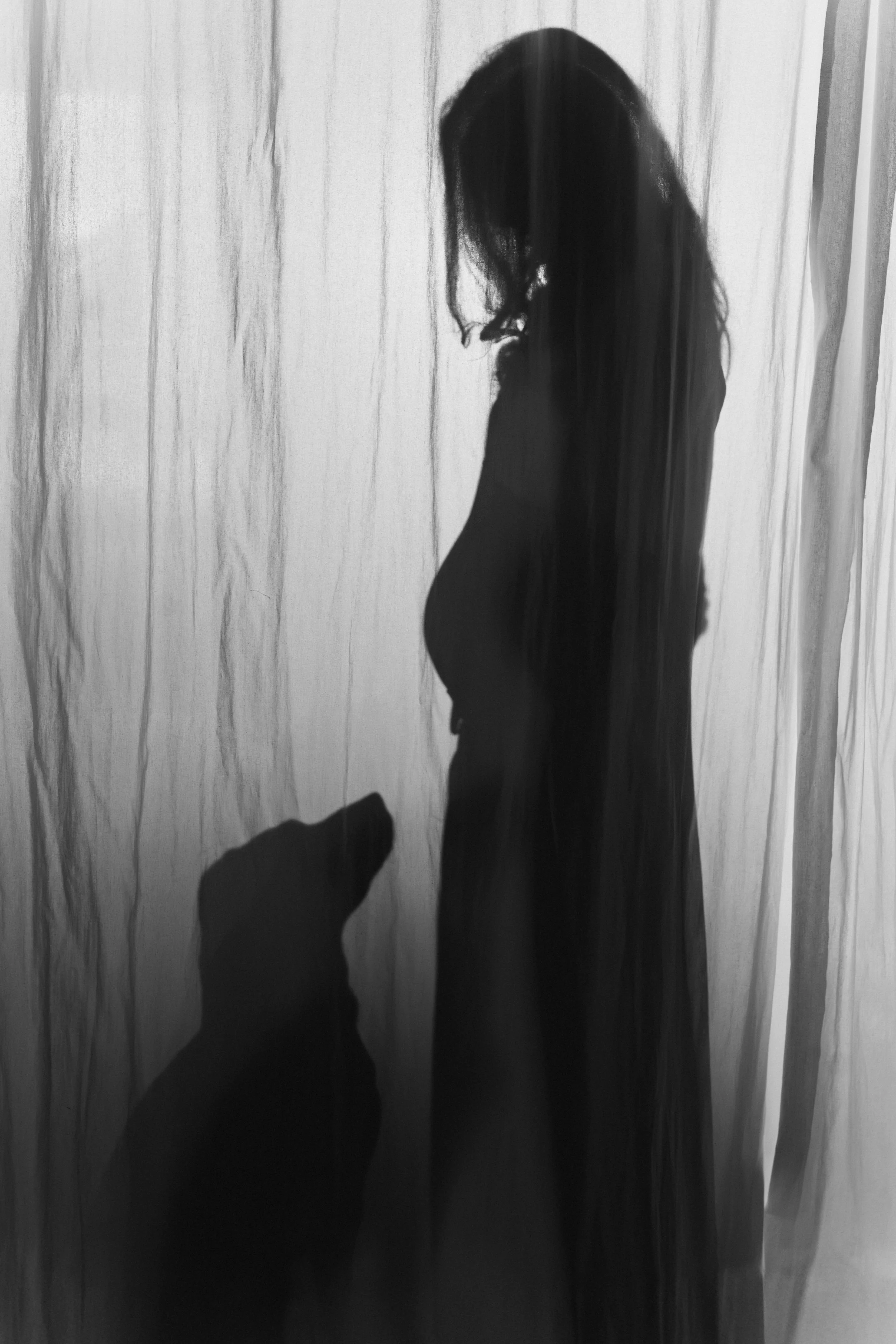 Babybauchshooting mit Hund Köln  (80 von 156).jpg