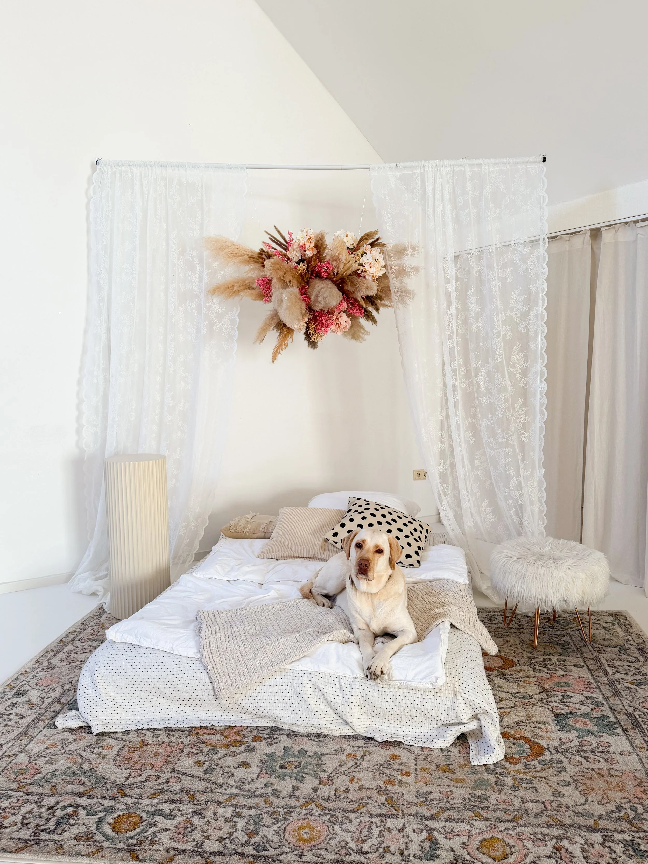 Foto und Netzwerktage Bergisch Gladbach