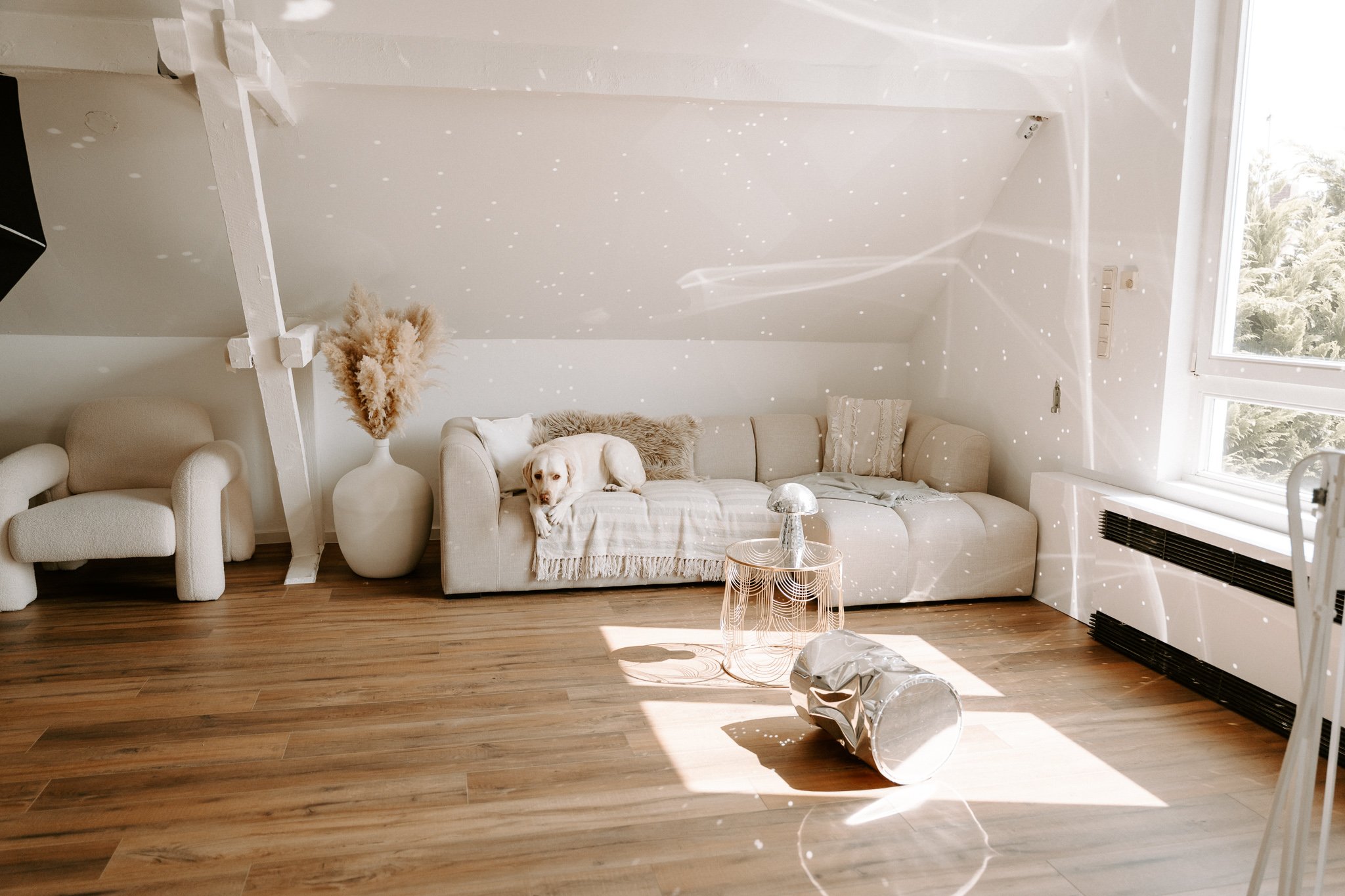 Props Tageslichtstudio Bergisch Gladbach