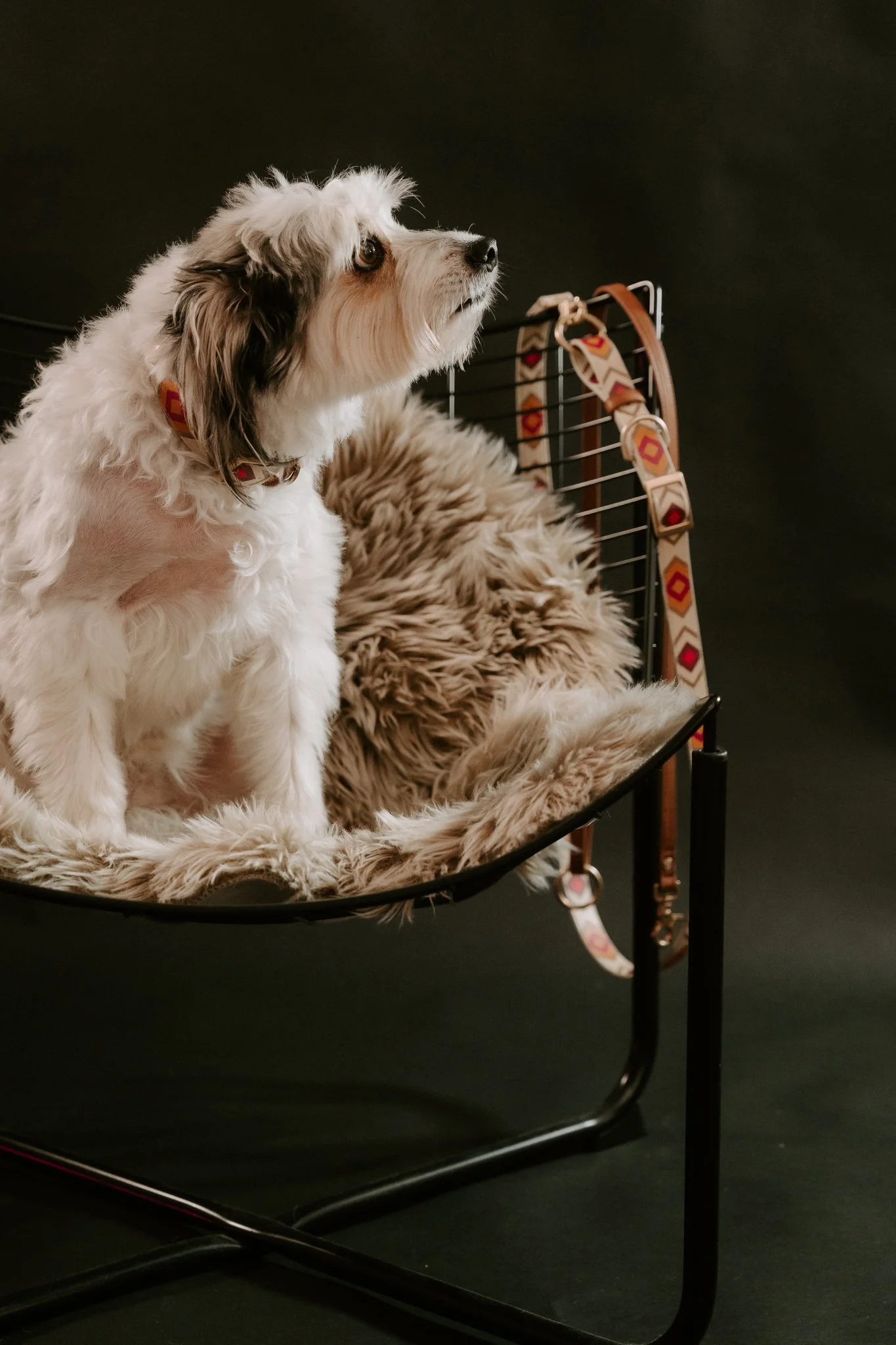 Businessshooting Köln (1 von 1)-16.jpg