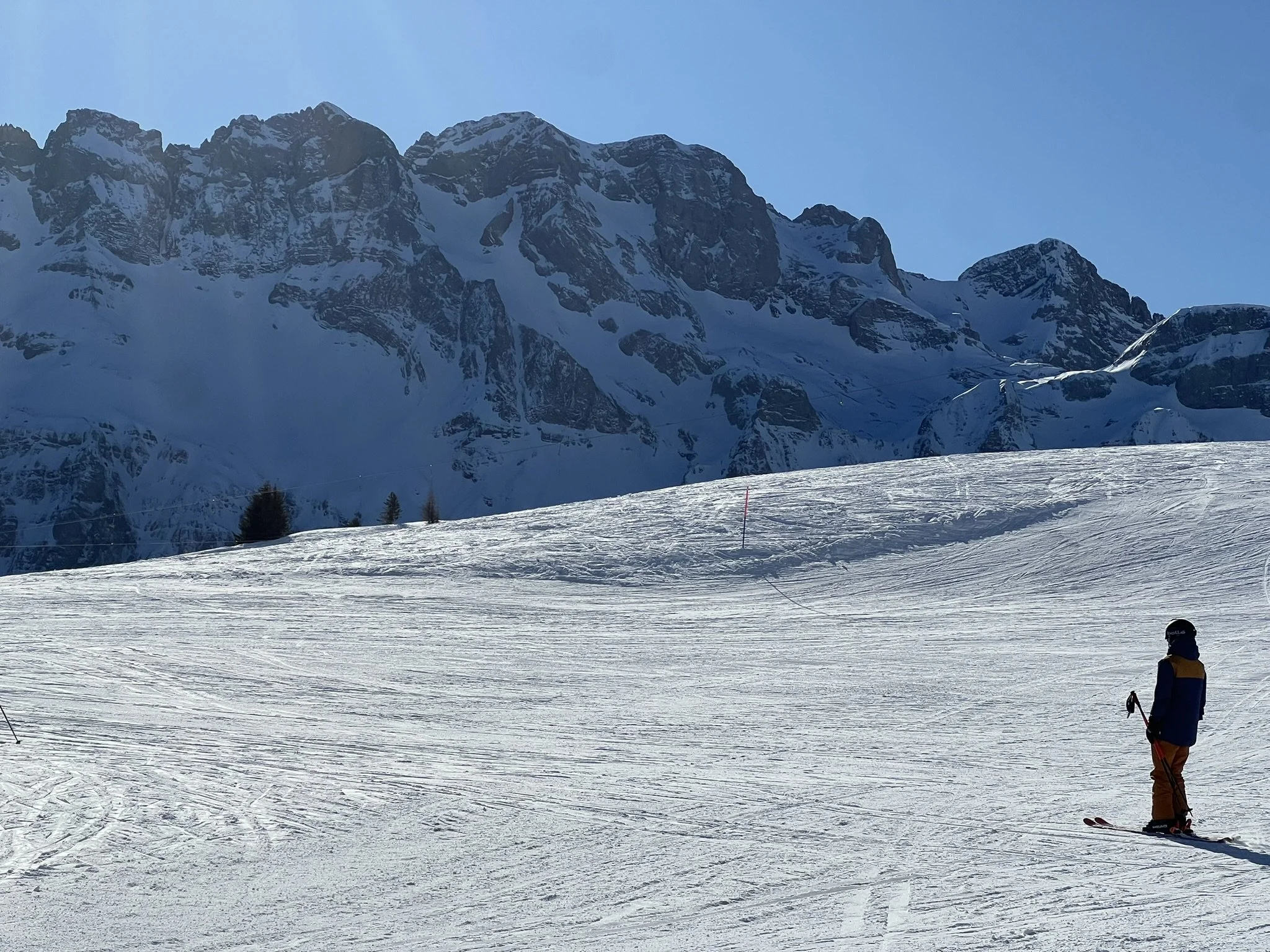 Skier standing on snowy slope with mountain range in background.