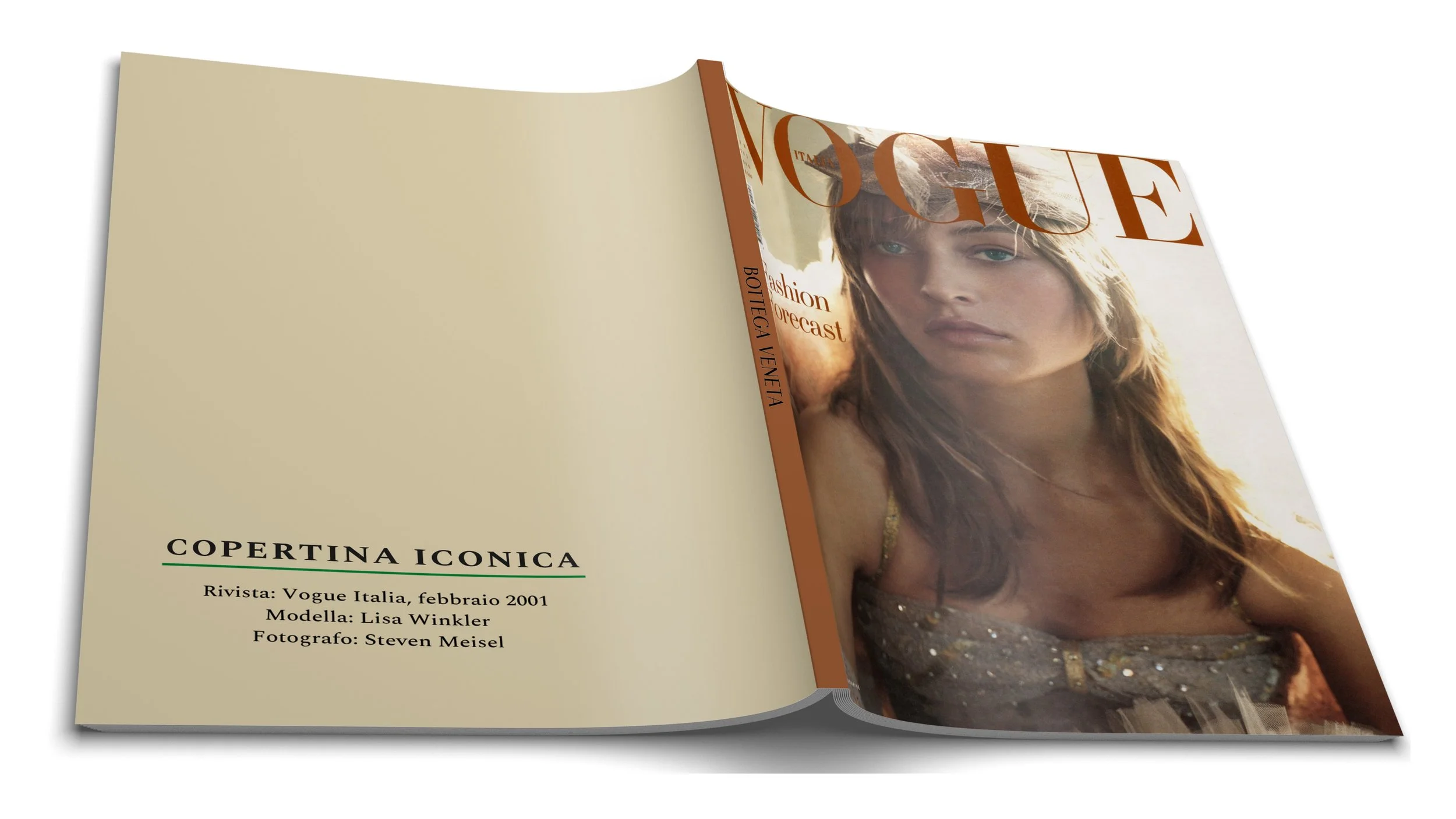 BOTTEGA VENETA_pages-to-jpg-0012.jpg