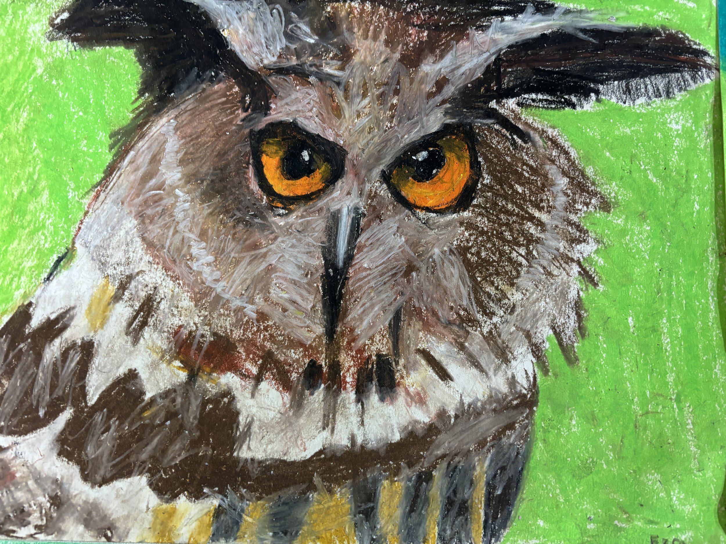 Painting of an owl with bright orange eyes on a green background.