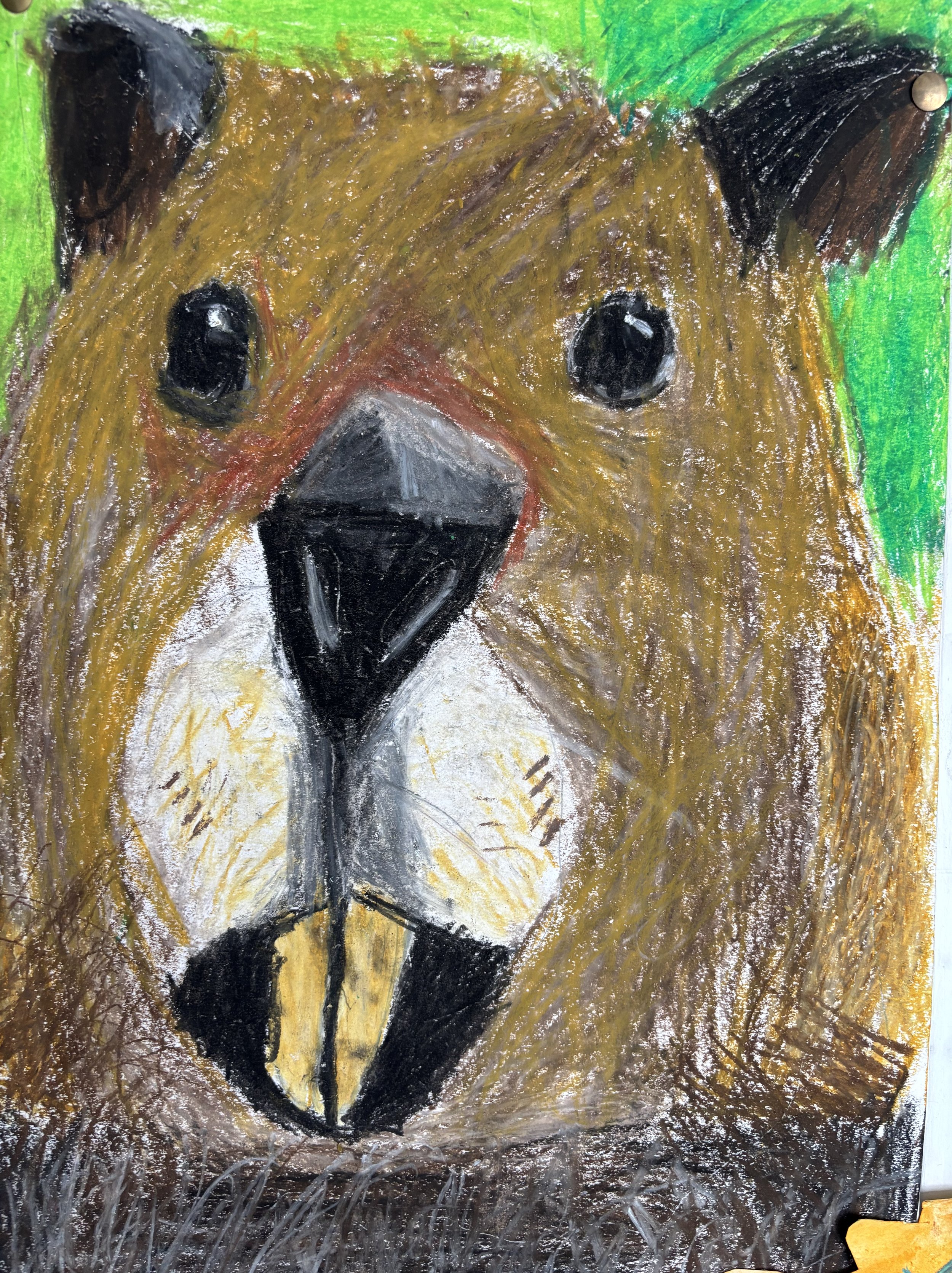 A colorful chalk drawing of a bear's face with a green background, featuring black eyes, a black nose, and a yellow and black lower jaw, on a chalkboard.