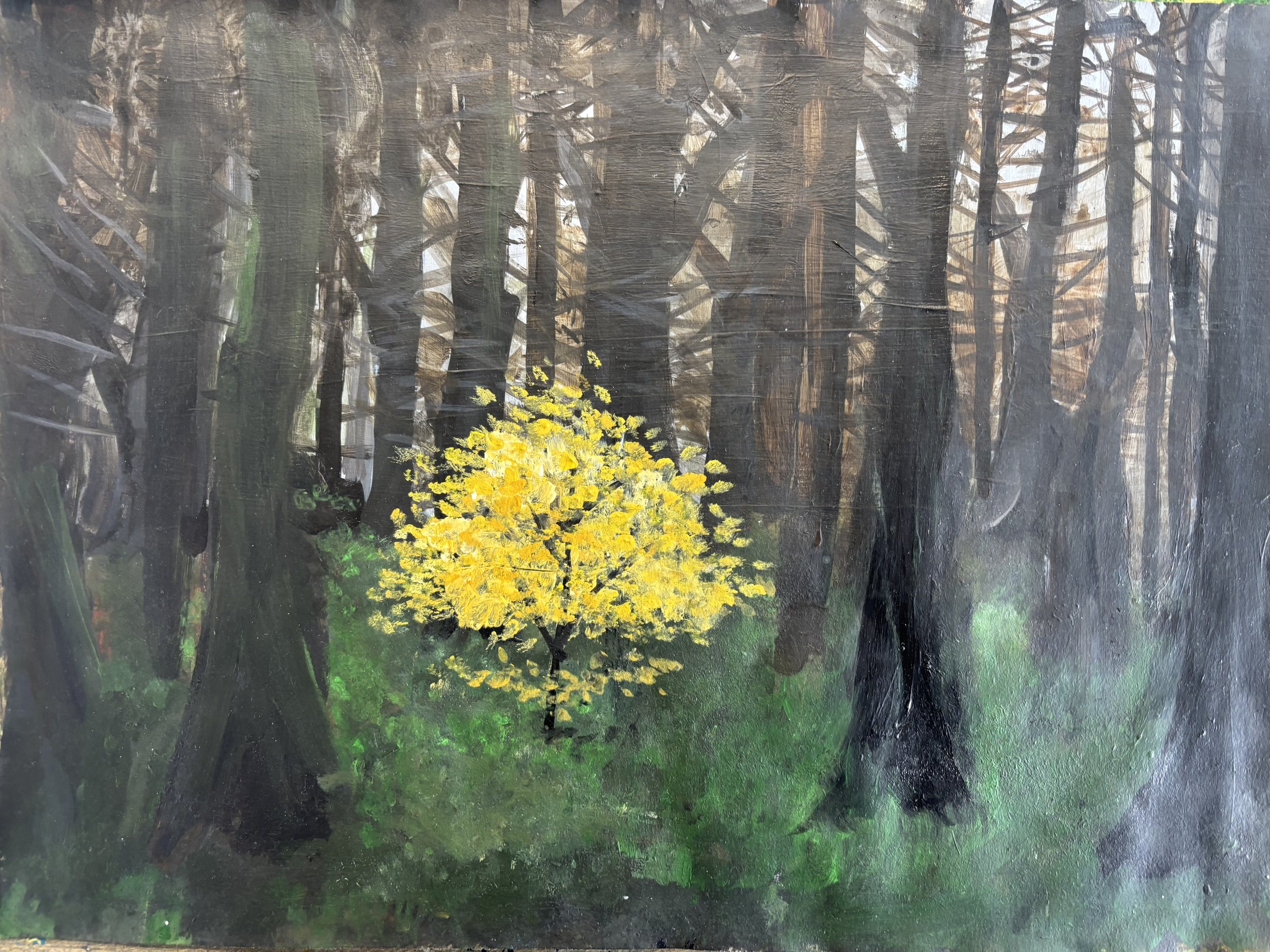 Painting of a forest with tall trees and a small bright yellow tree in the center.