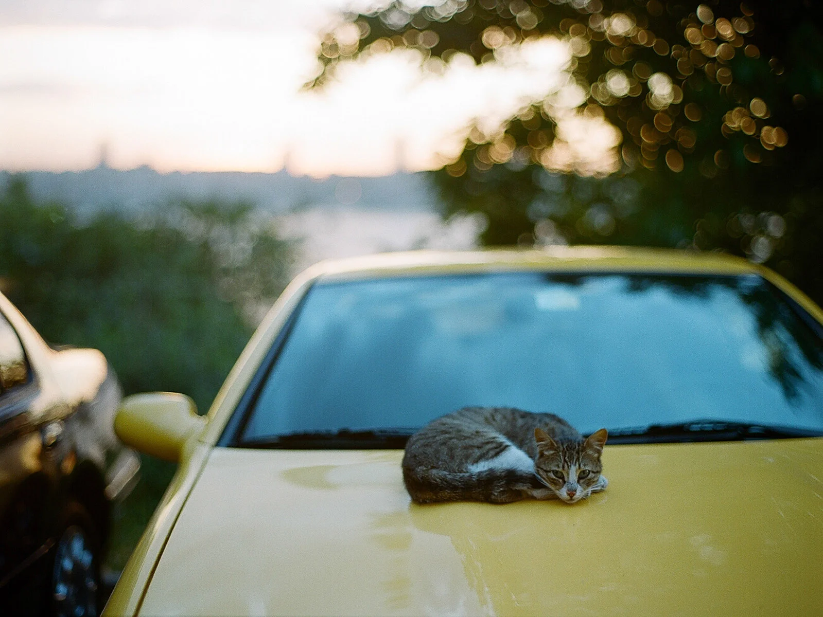photo-15.jpg