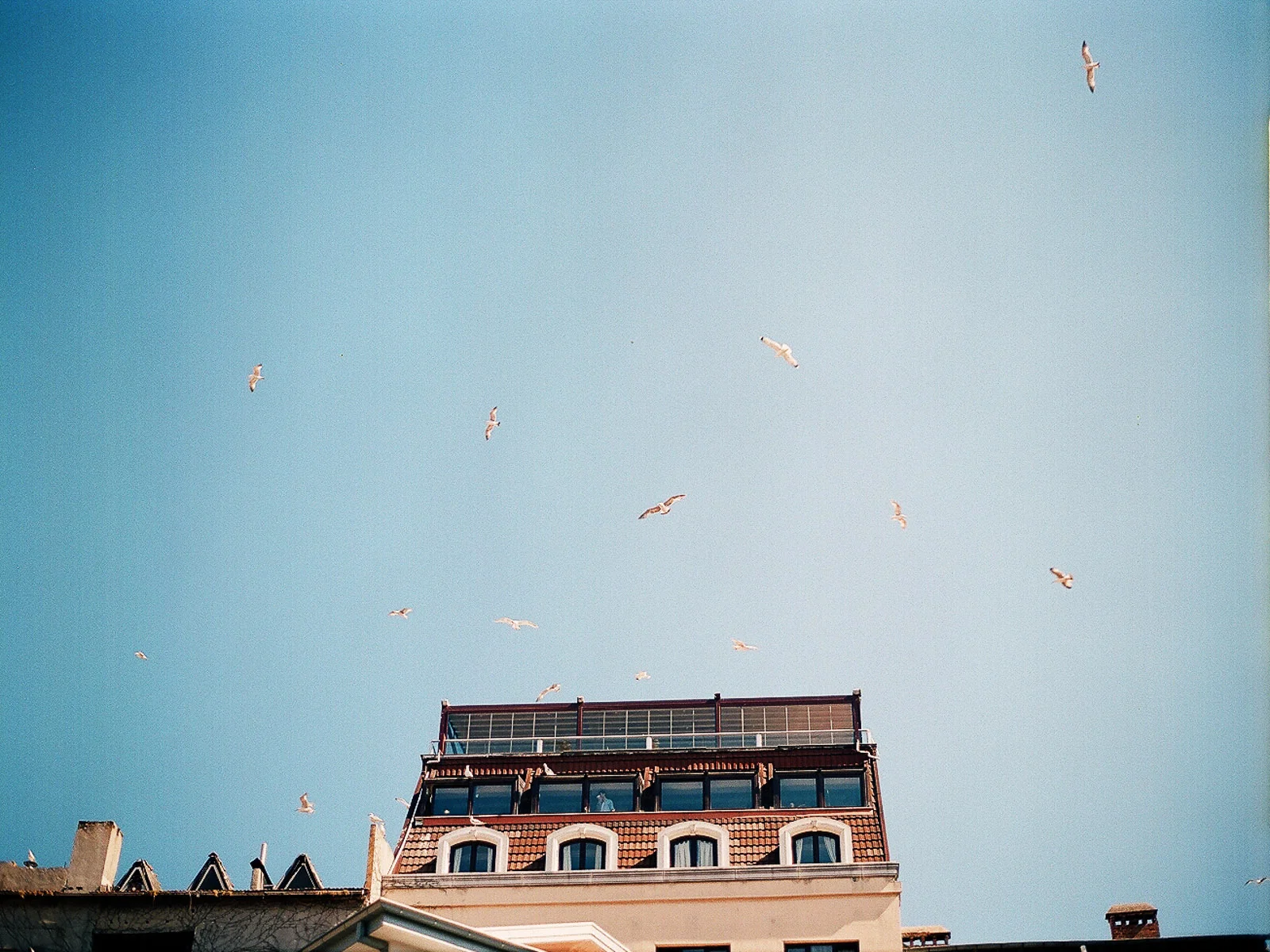 photo-48.jpg