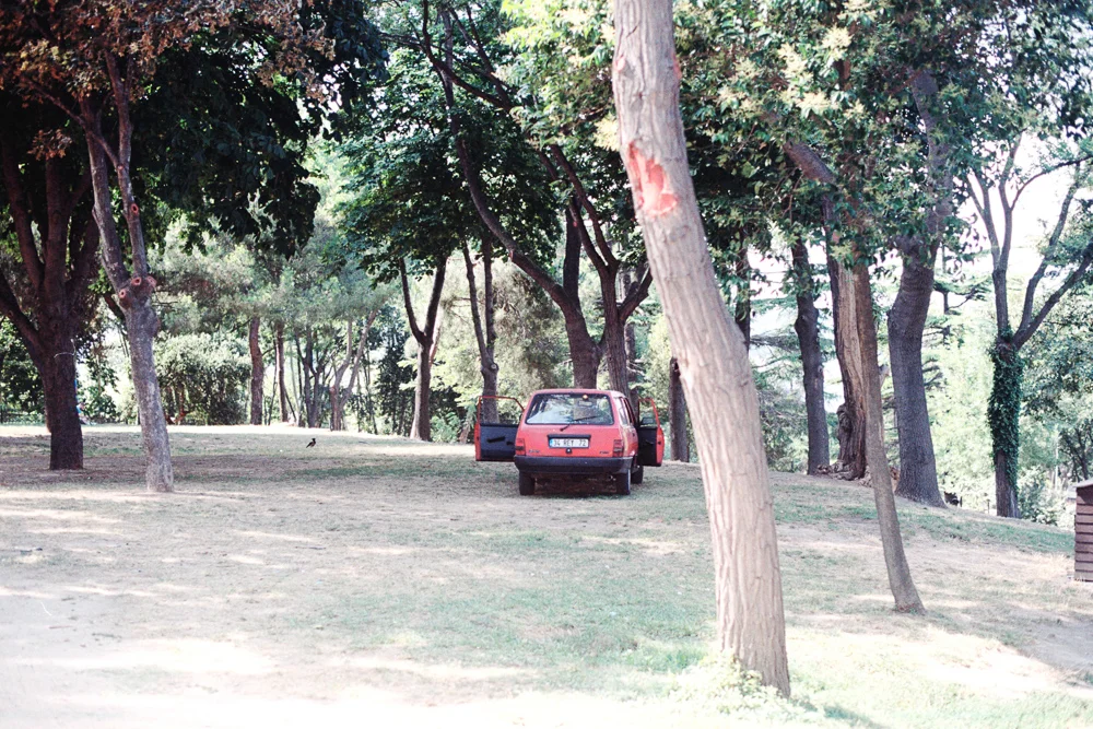 photo-39.jpg