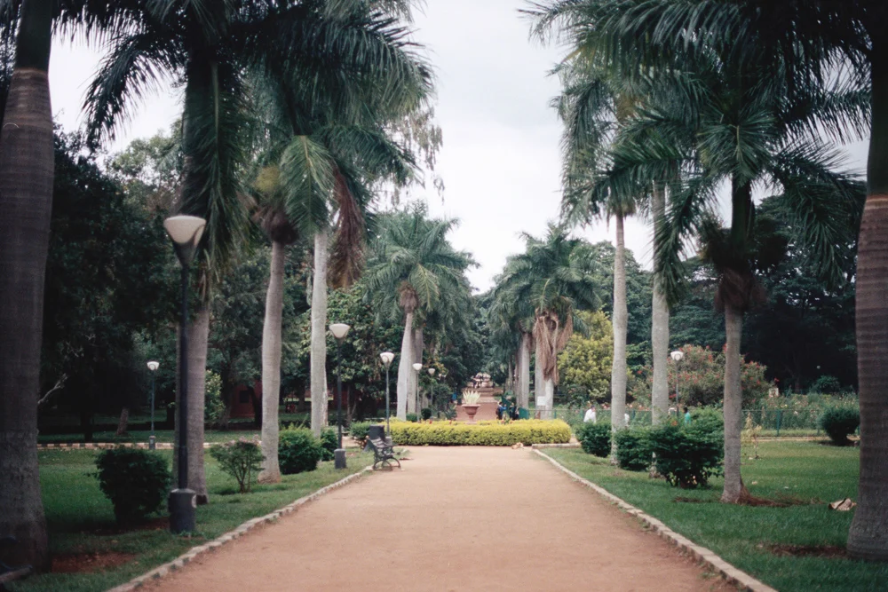 photo-15.jpg