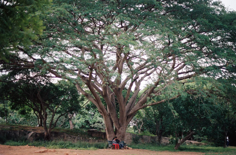 photo-4.jpg
