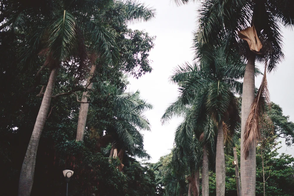 photo-16.jpg