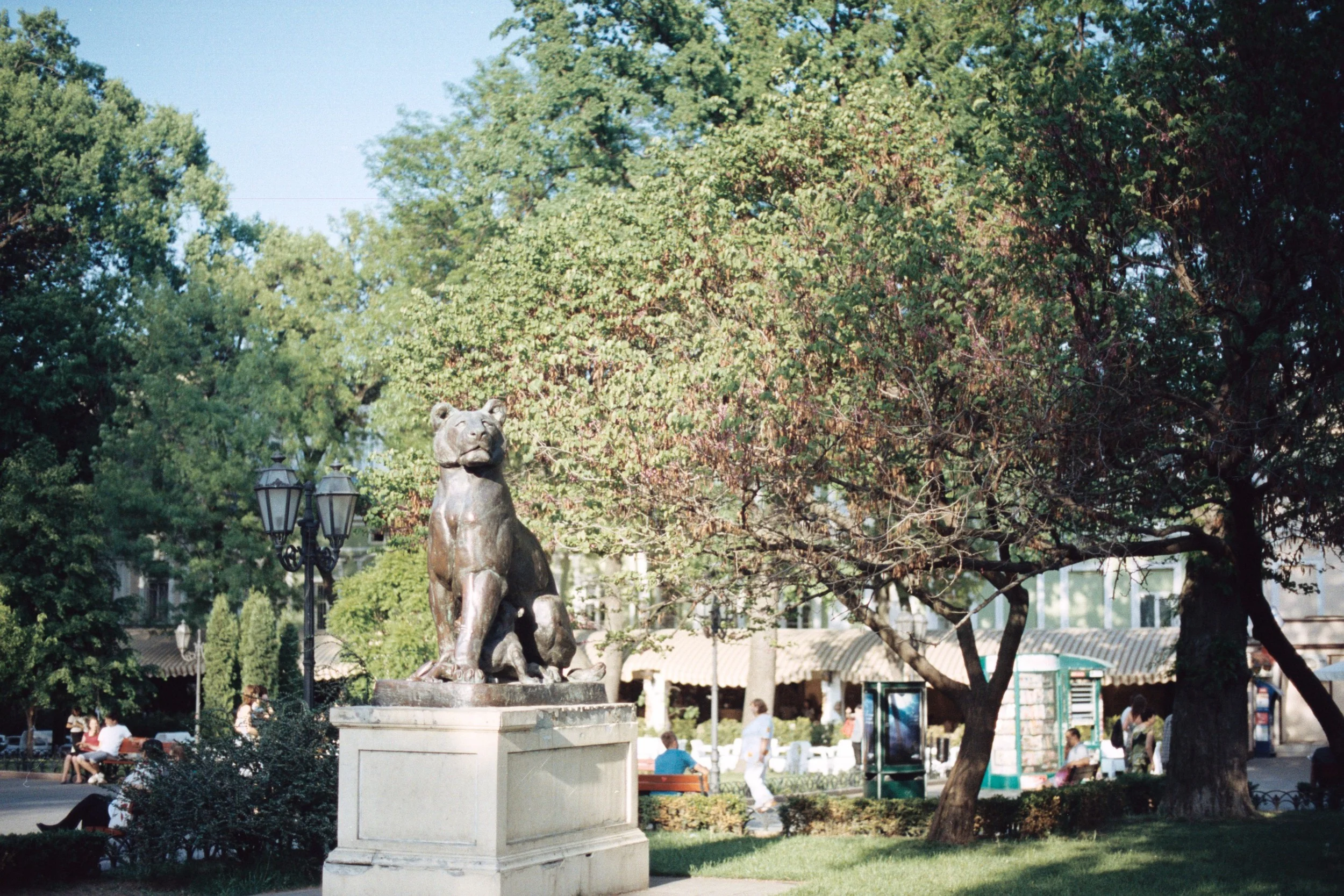 AA008.jpg