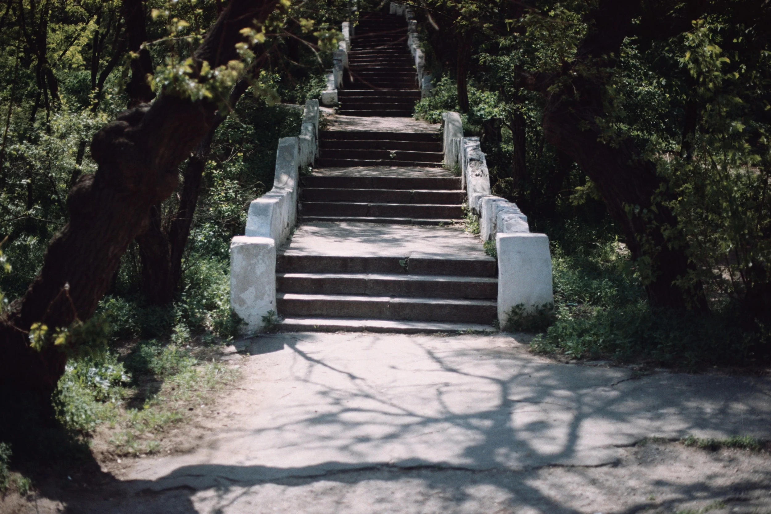AA004.jpg