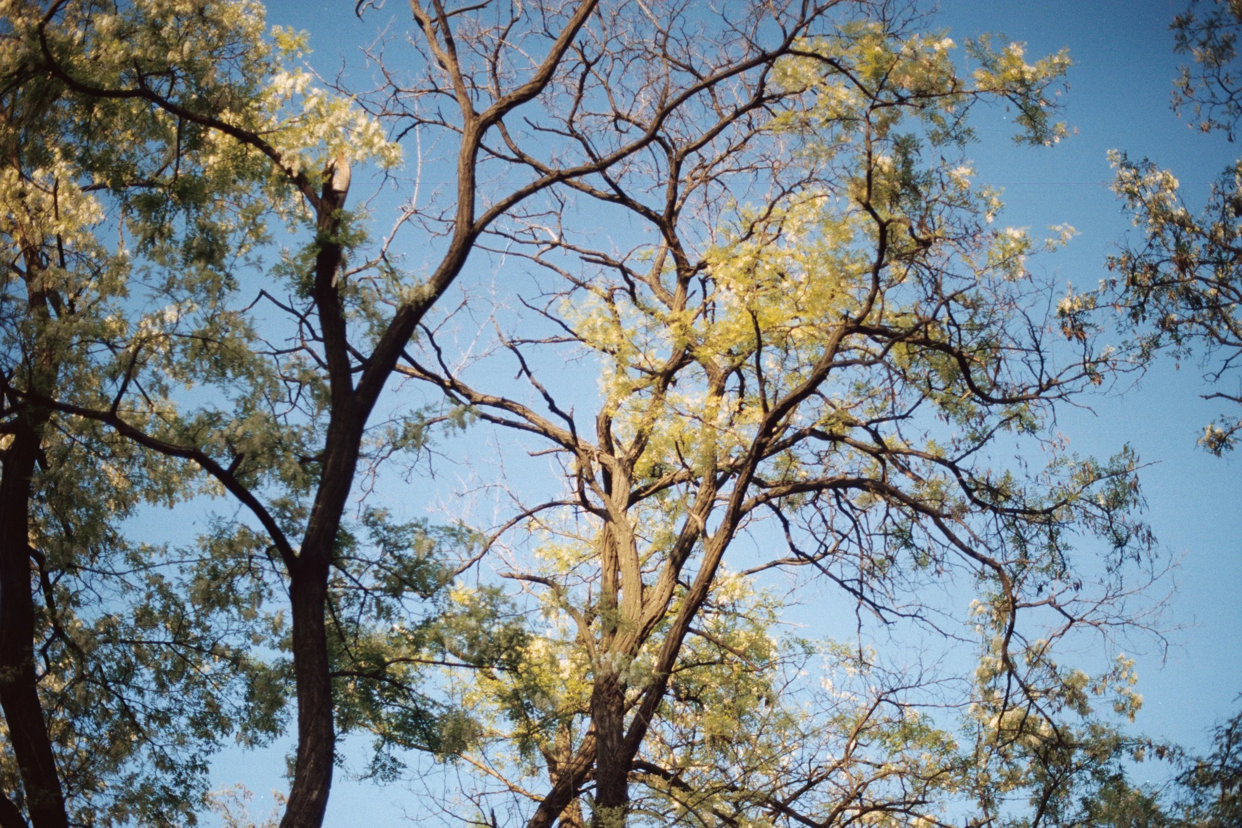 AA027.jpg
