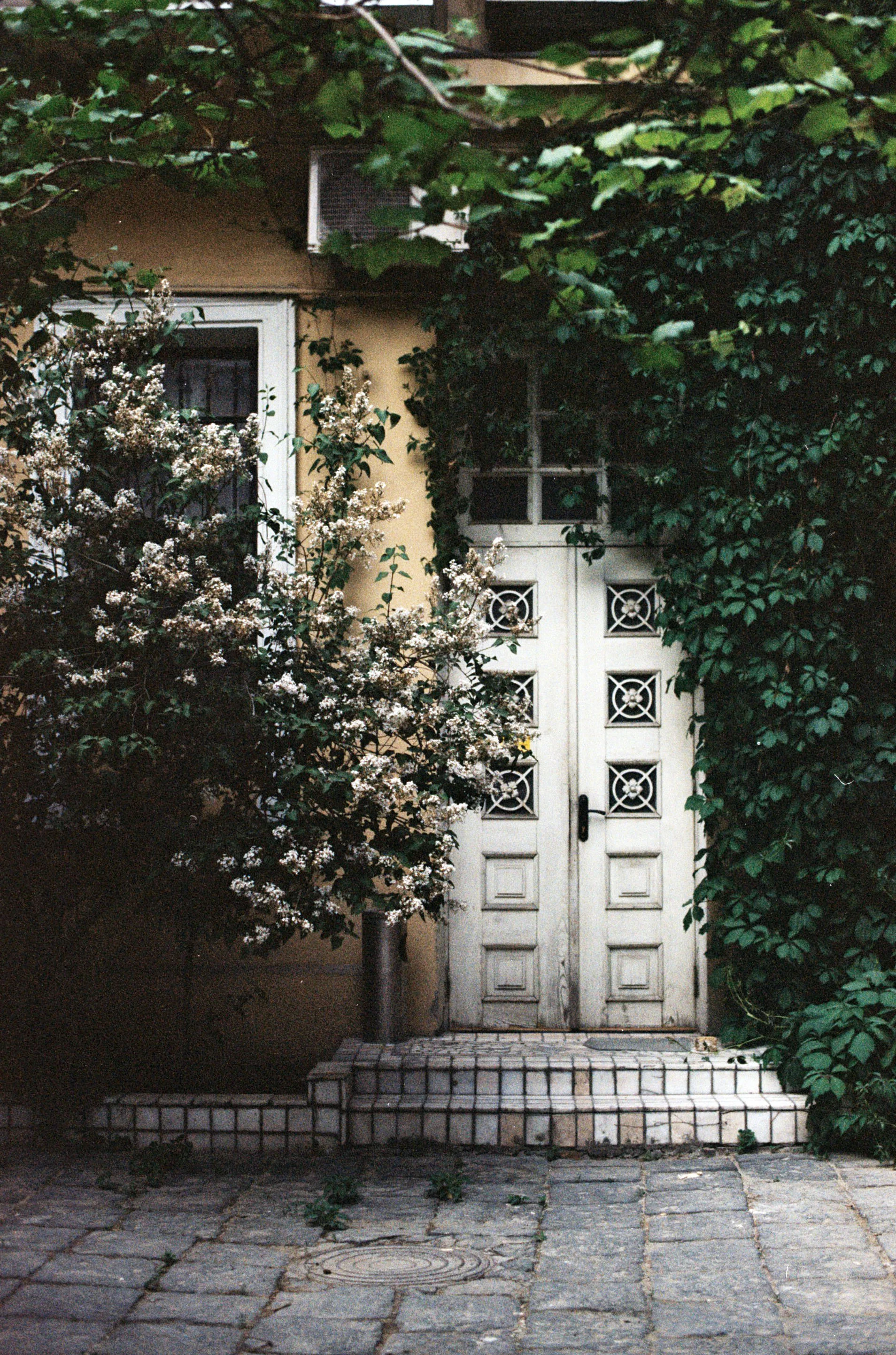 AA035j.jpg