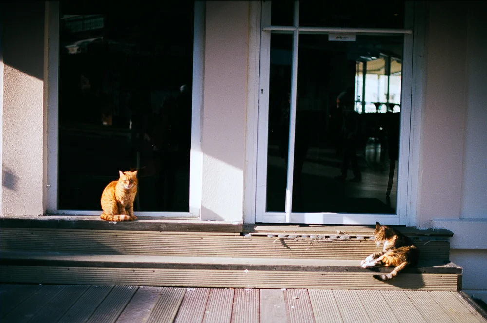 photo-50.jpg