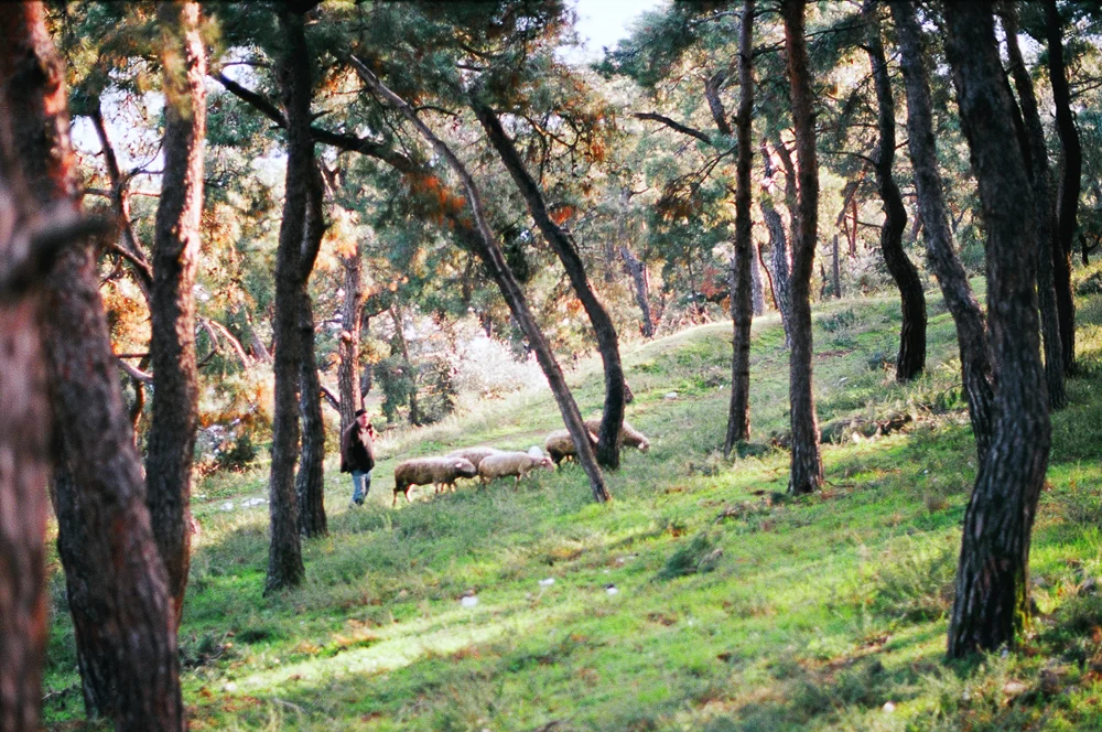 photo-3.jpg