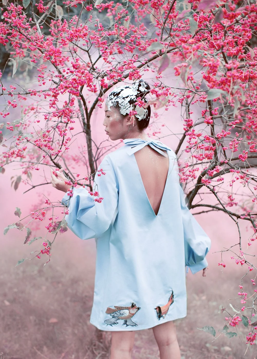 Journey to the land of Pink Forests
